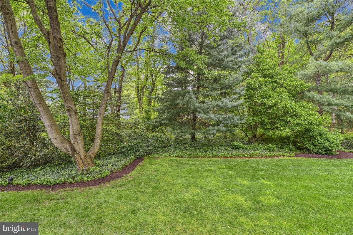 HARLEQUIN - Residential