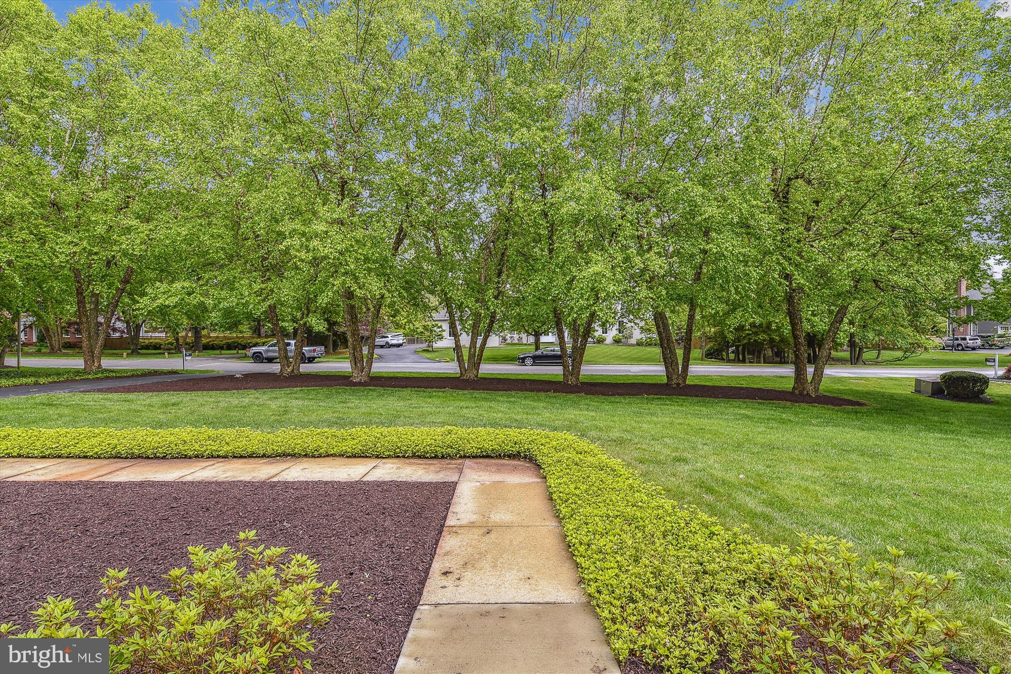 HARLEQUIN - Residential