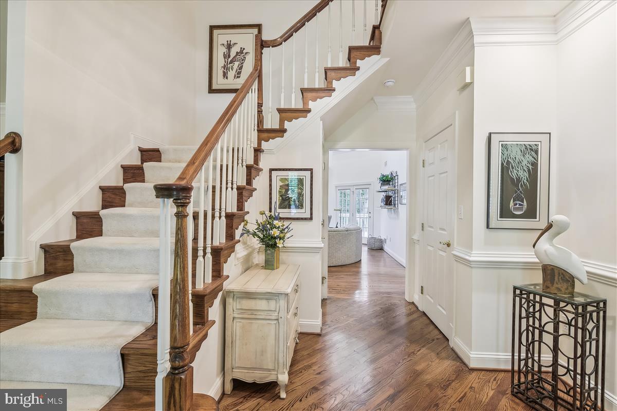 HARLEQUIN - Residential