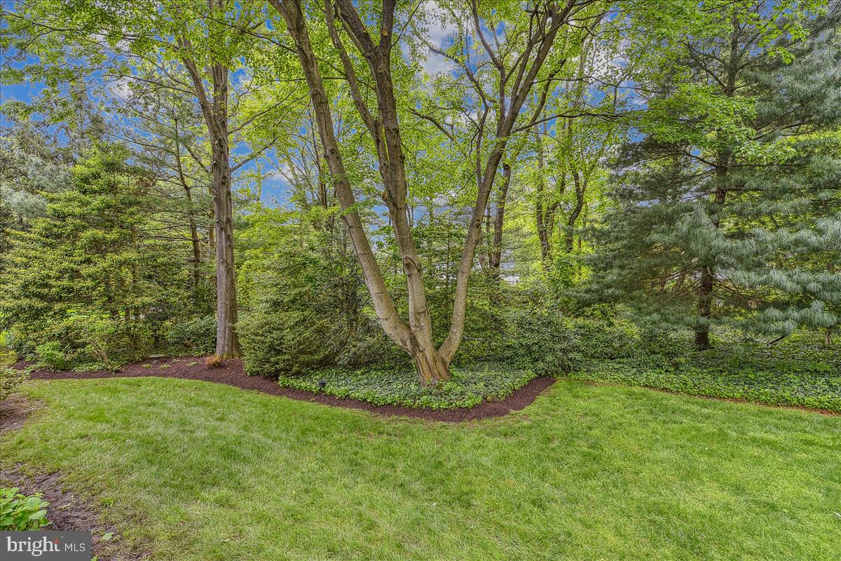 HARLEQUIN - Residential