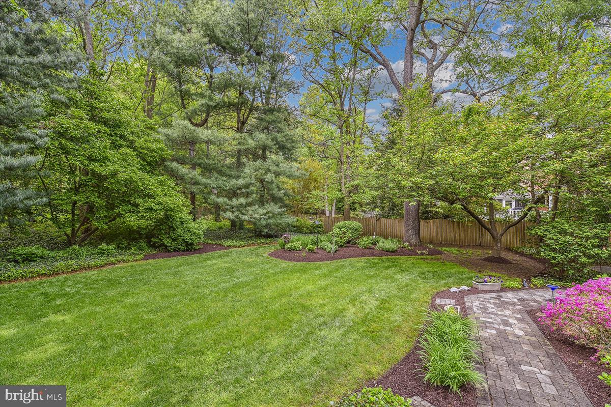 HARLEQUIN - Residential