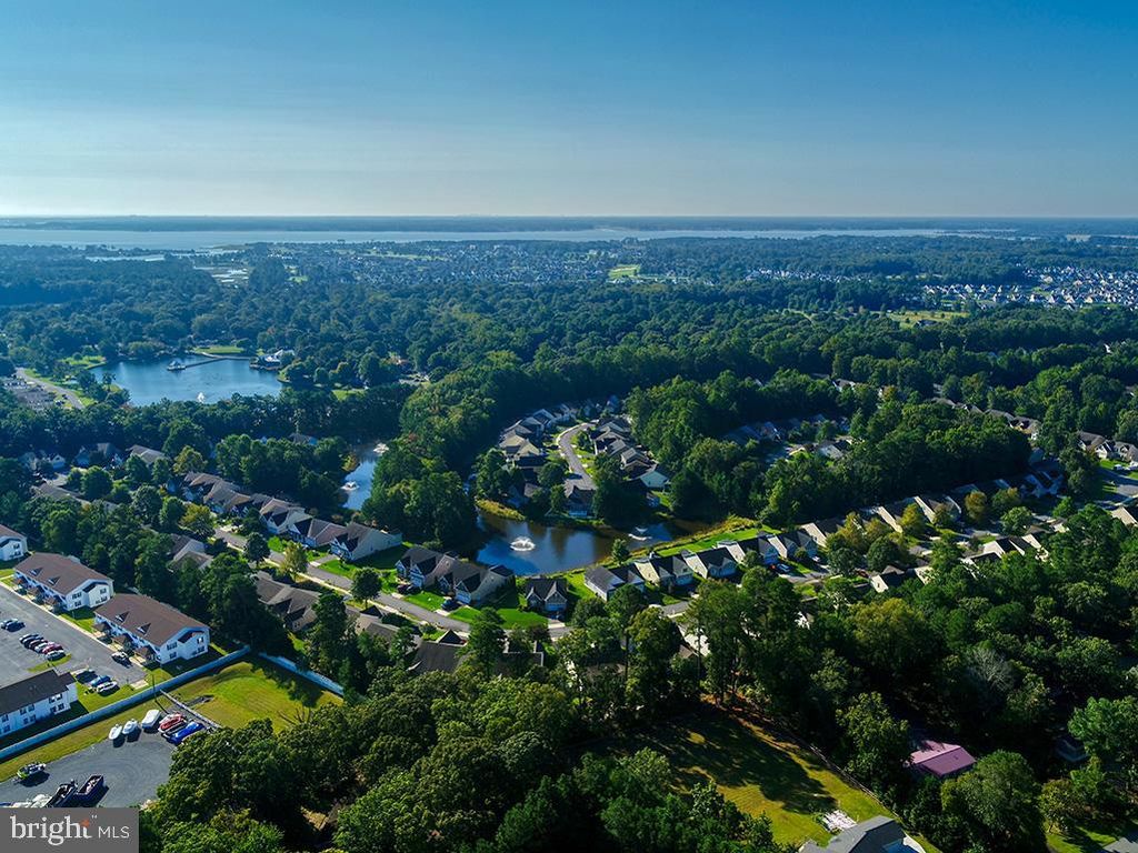 Photo of 26366 Timbercreek Lane, MILLSBORO, DE 19966 (MLS # DESU2097606)