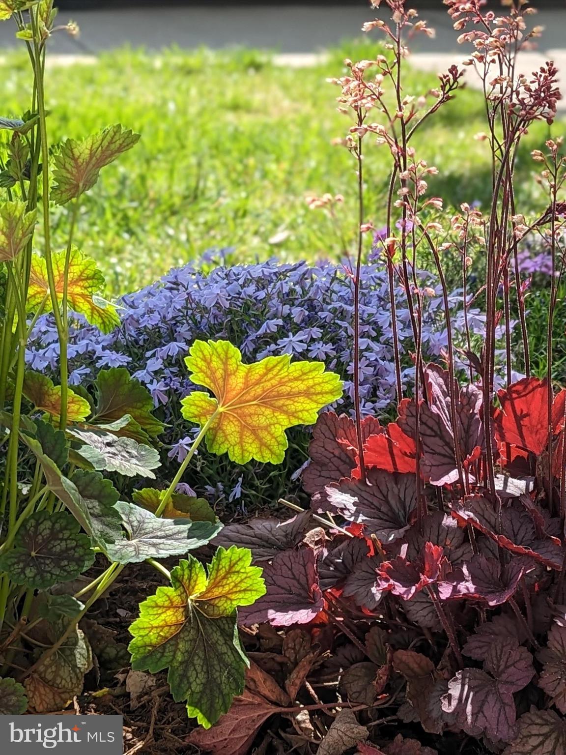 EASTON CLUB - Residential