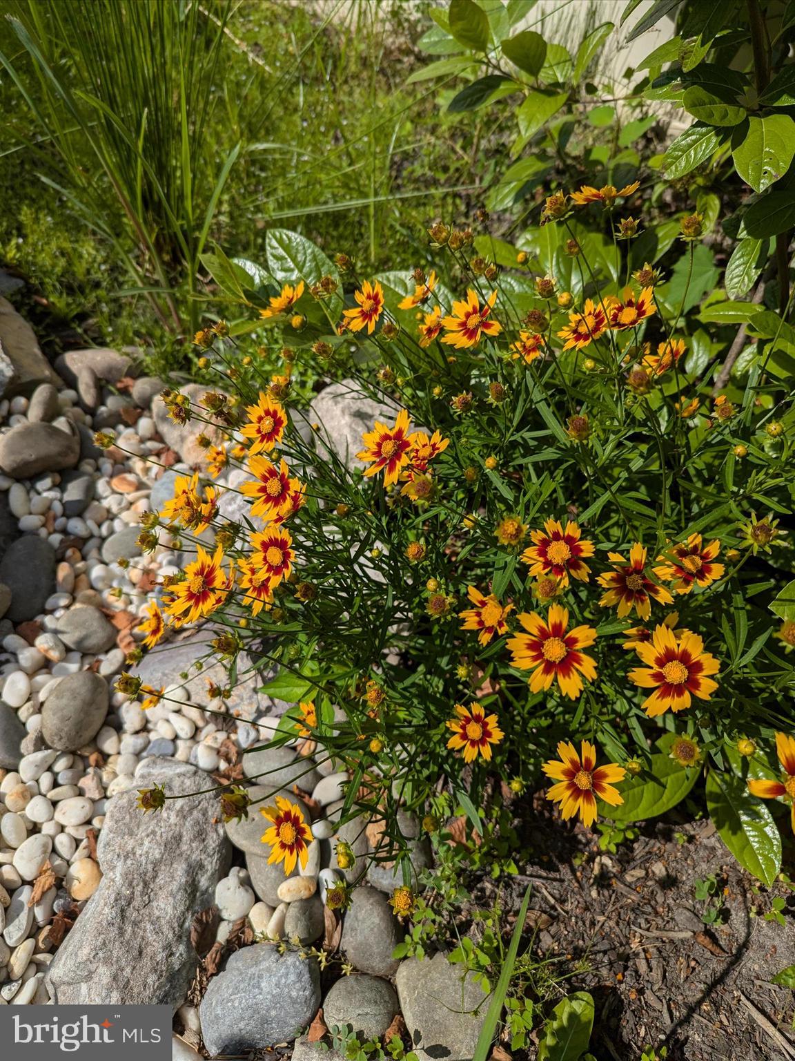 EASTON CLUB - Residential