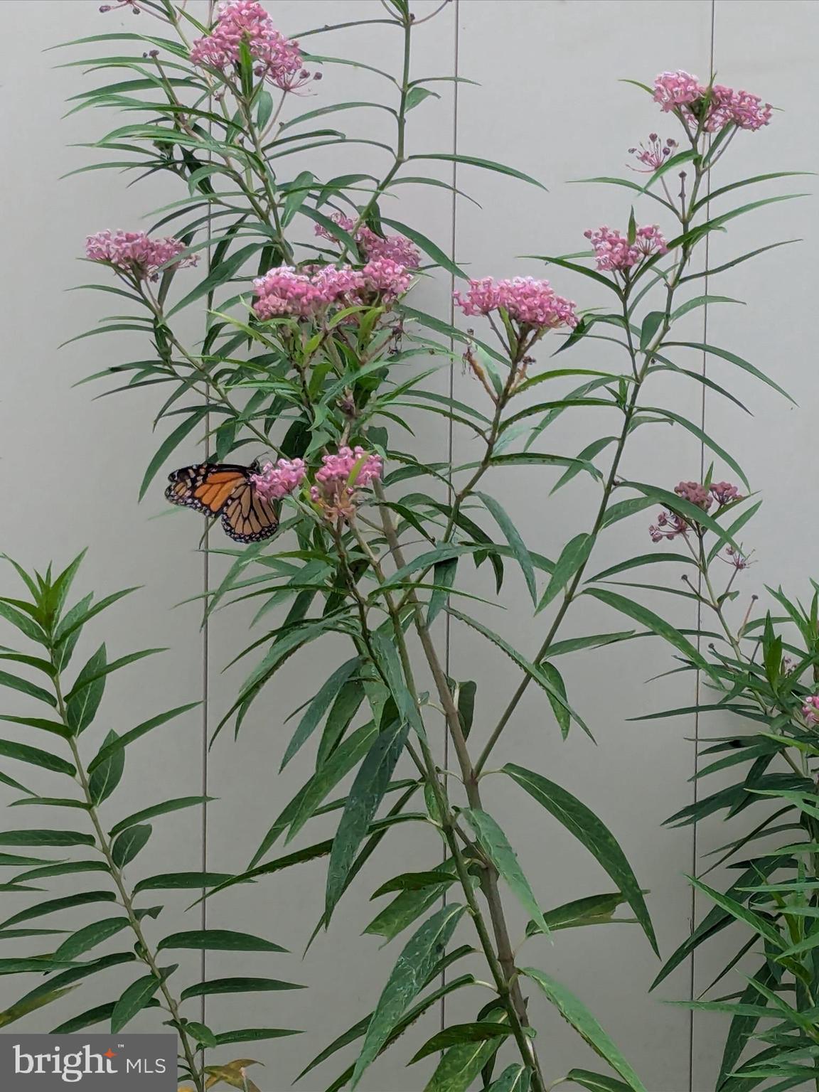 EASTON CLUB - Residential