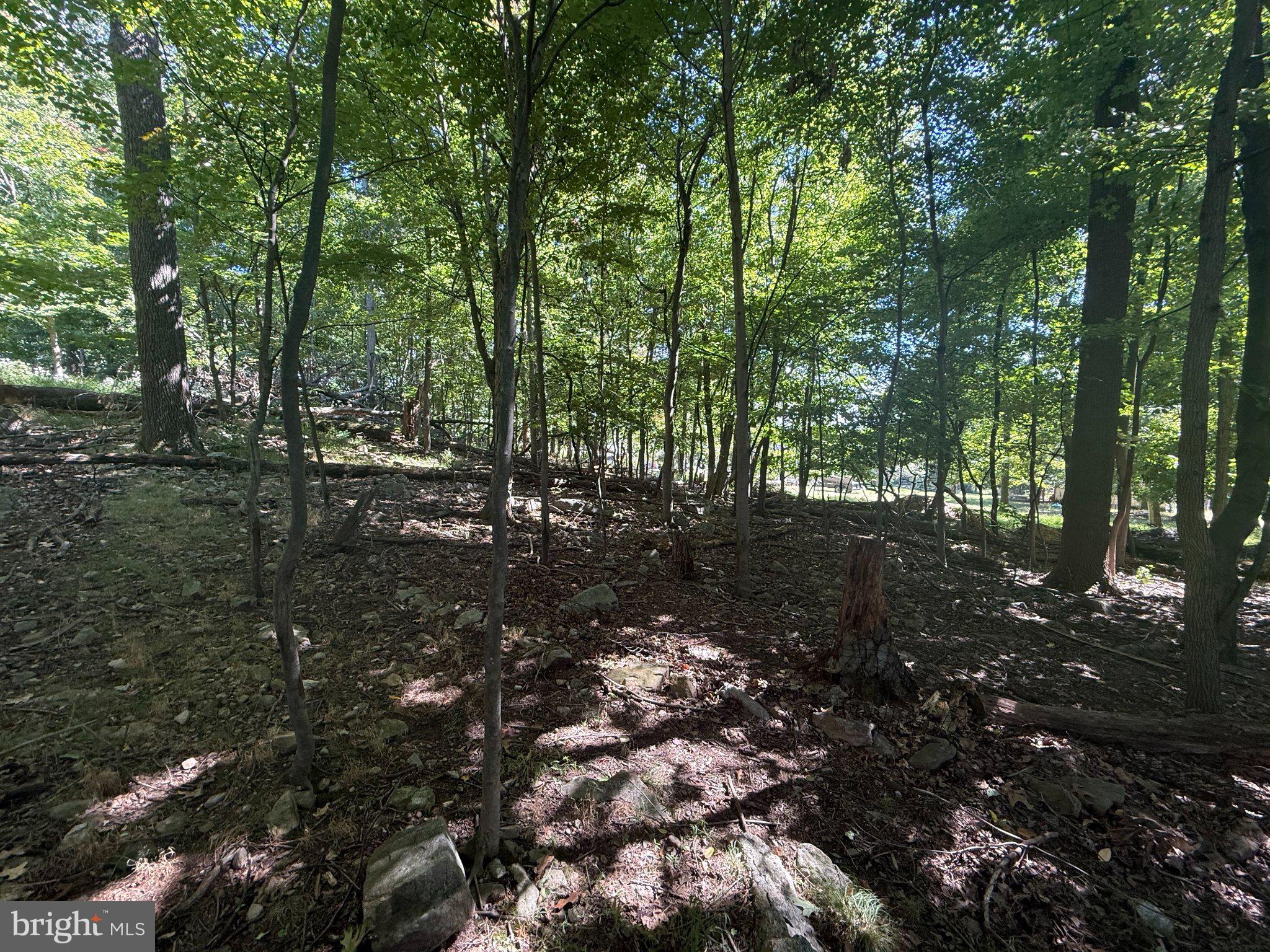 LOT 73 MOUNTAIN RISE DRIVE