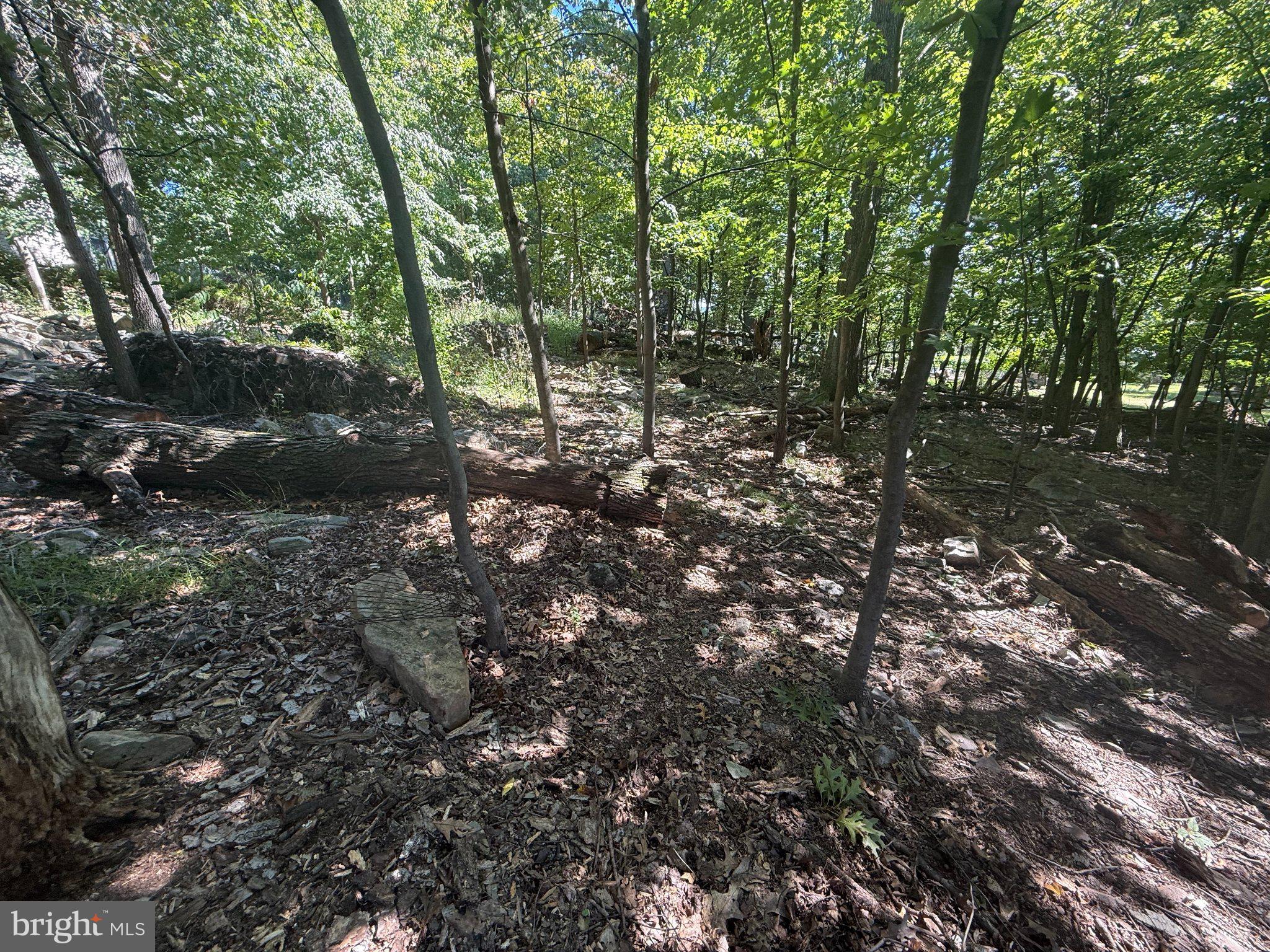 LOT 73 MOUNTAIN RISE DRIVE