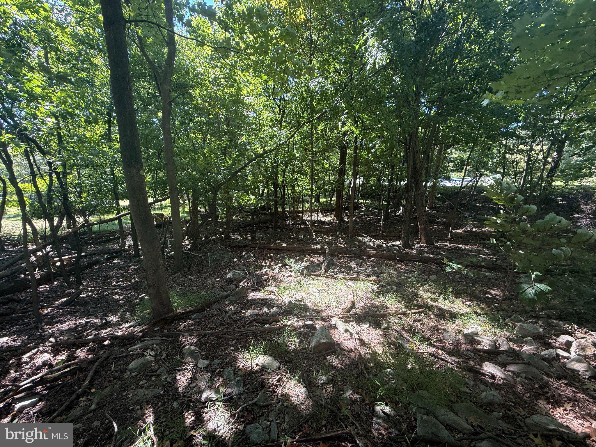 LOT 73 MOUNTAIN RISE DRIVE