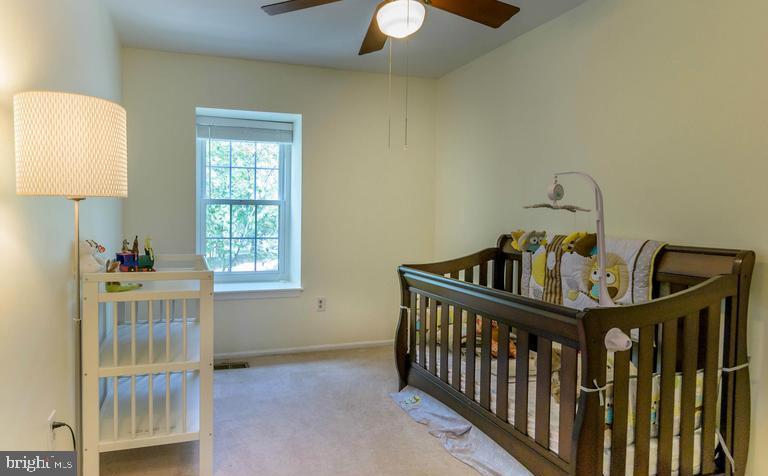 LAKE RIDGE - SPRINGWOODS - Residential