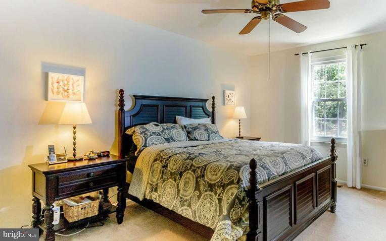 LAKE RIDGE - SPRINGWOODS - Residential