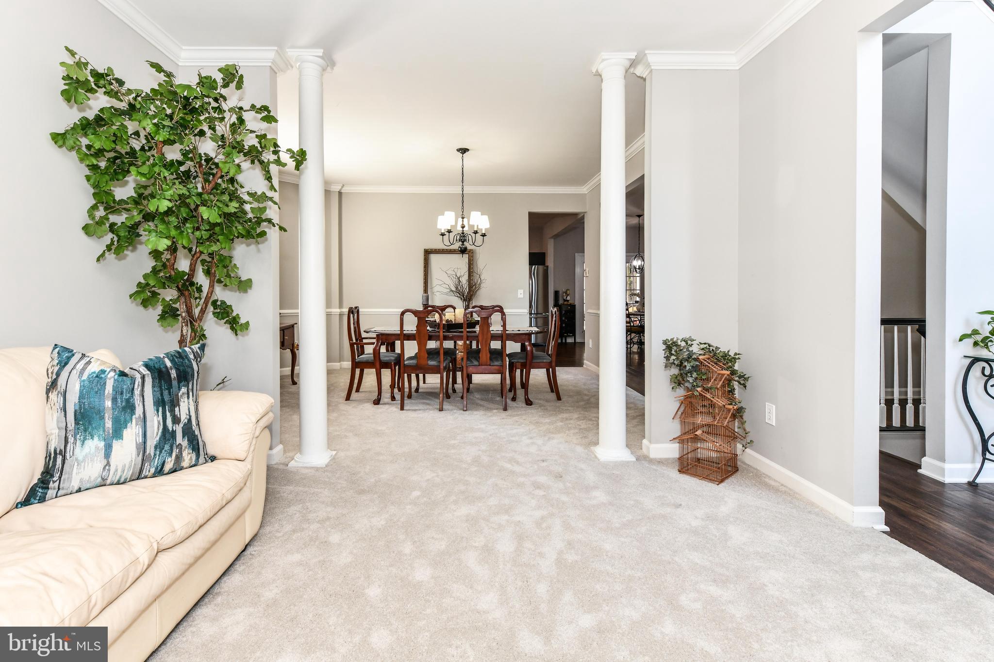 ASHBURN FARM - Residential