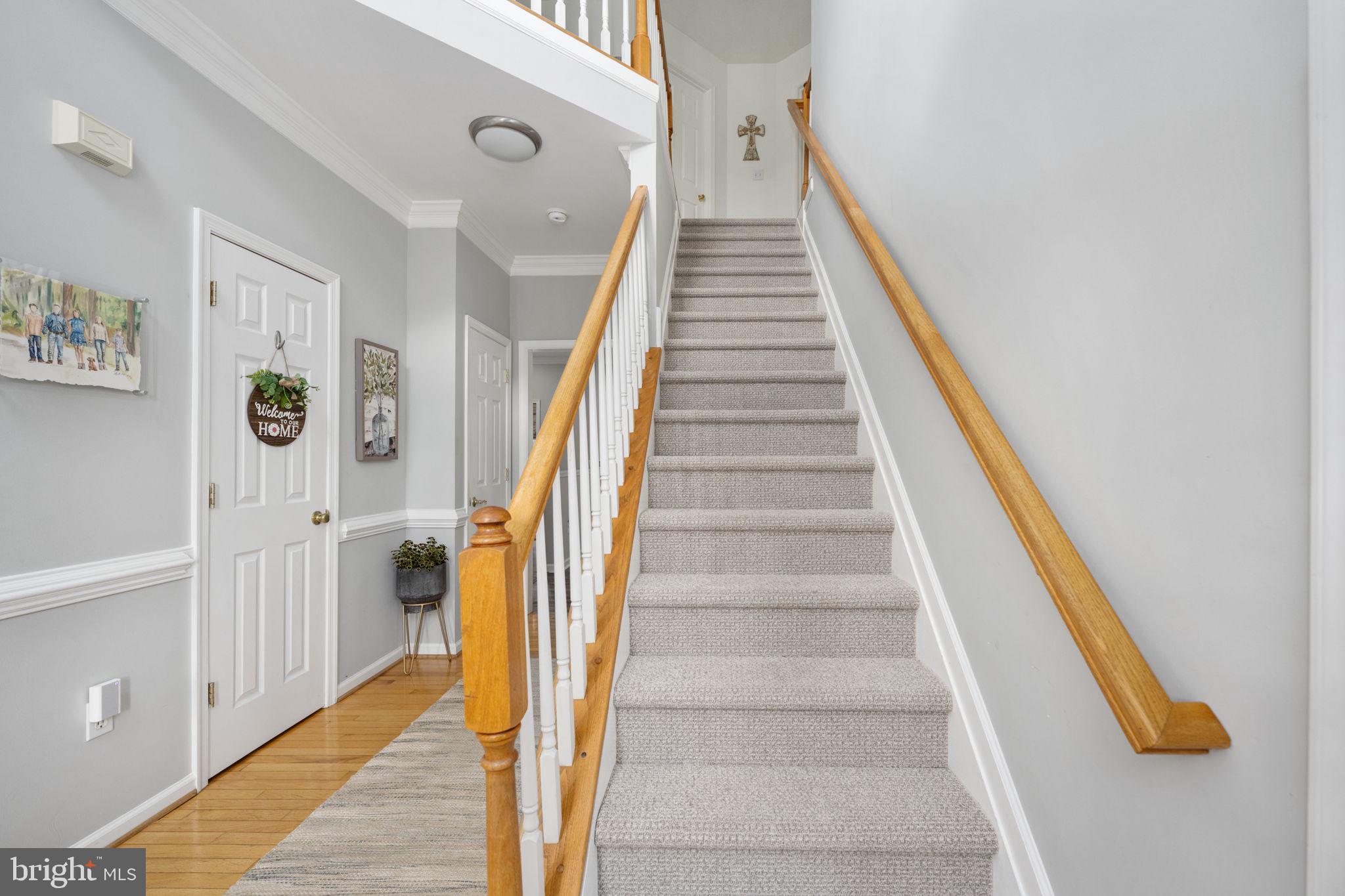 PIPE RUN - Residential