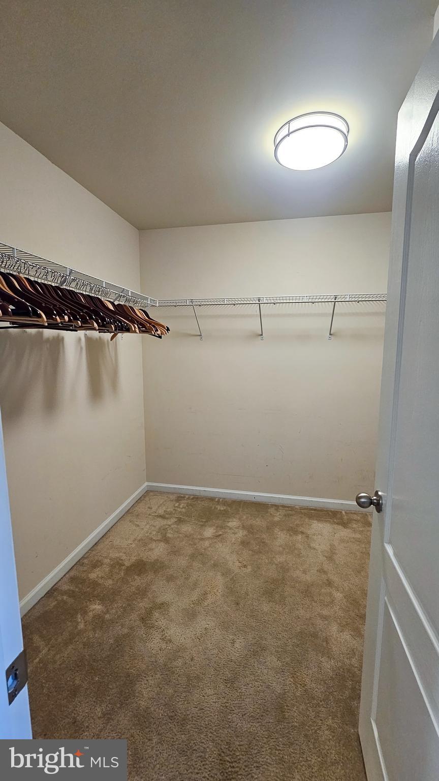 THE VILLAGE OF WASHINGTON TRAIL - Residential