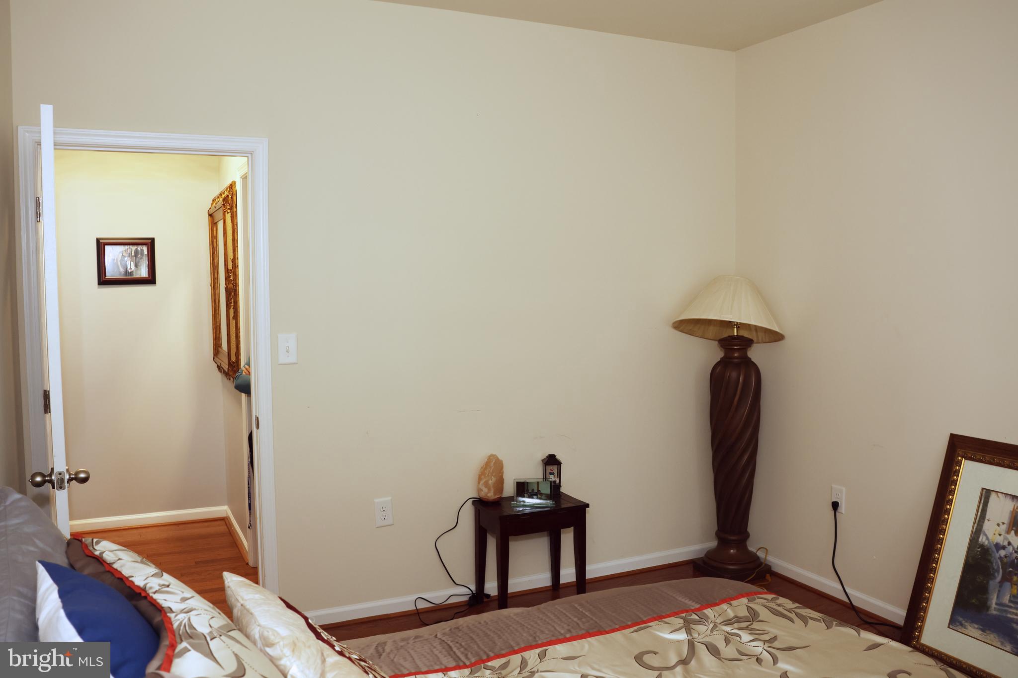 THE VILLAGE OF WASHINGTON TRAIL - Residential