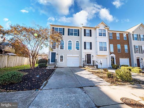 46008 GOOSENECK DRIVE LEXINGTON PARK MD 20653