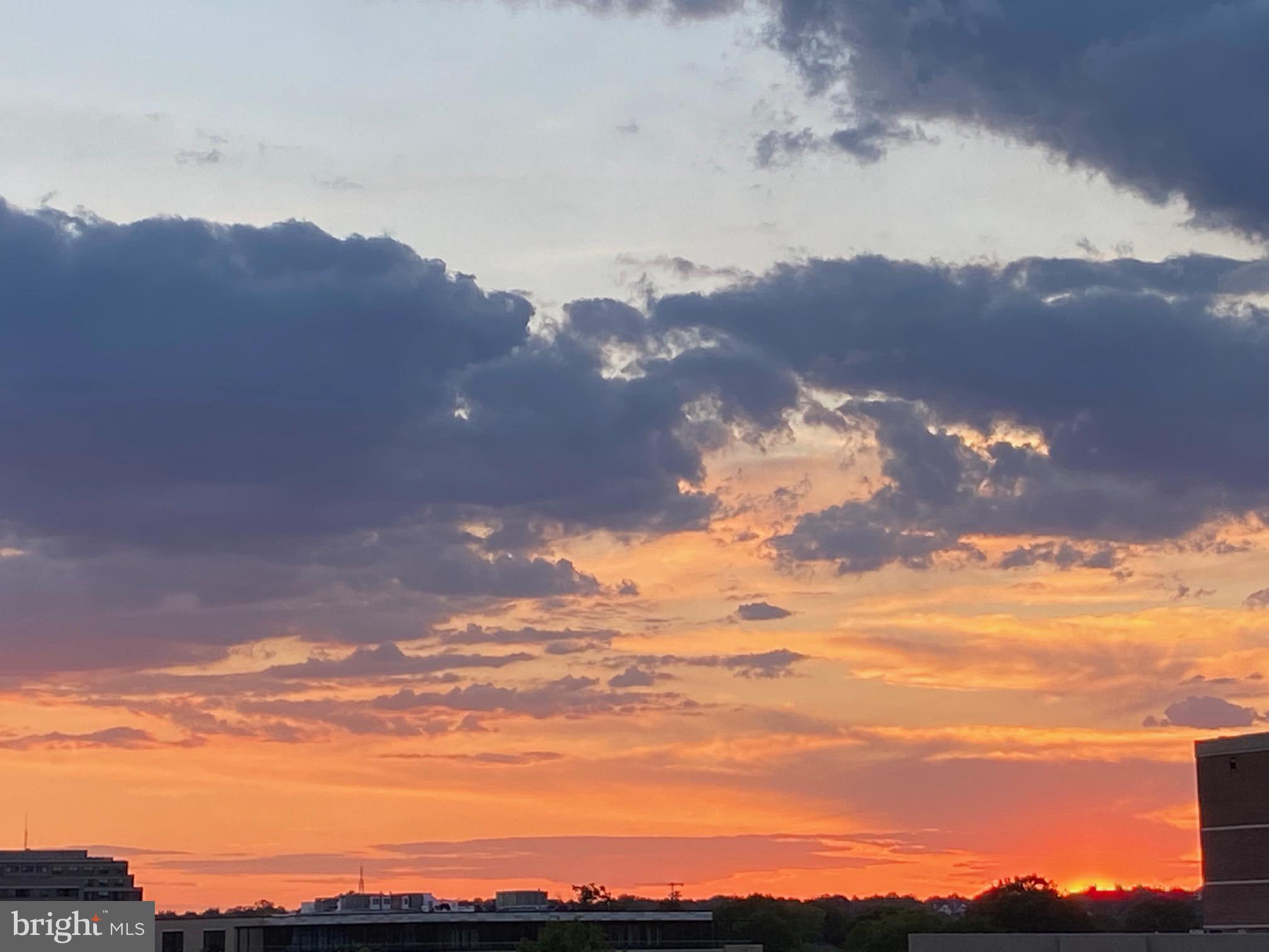 THE WILLIAMSBURG - Residential