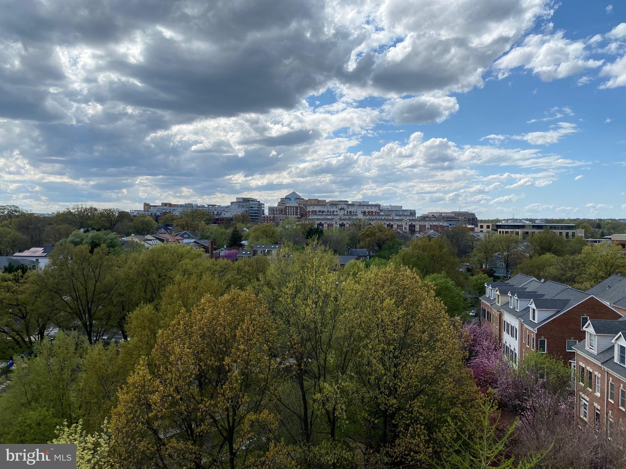 THE WILLIAMSBURG - Residential