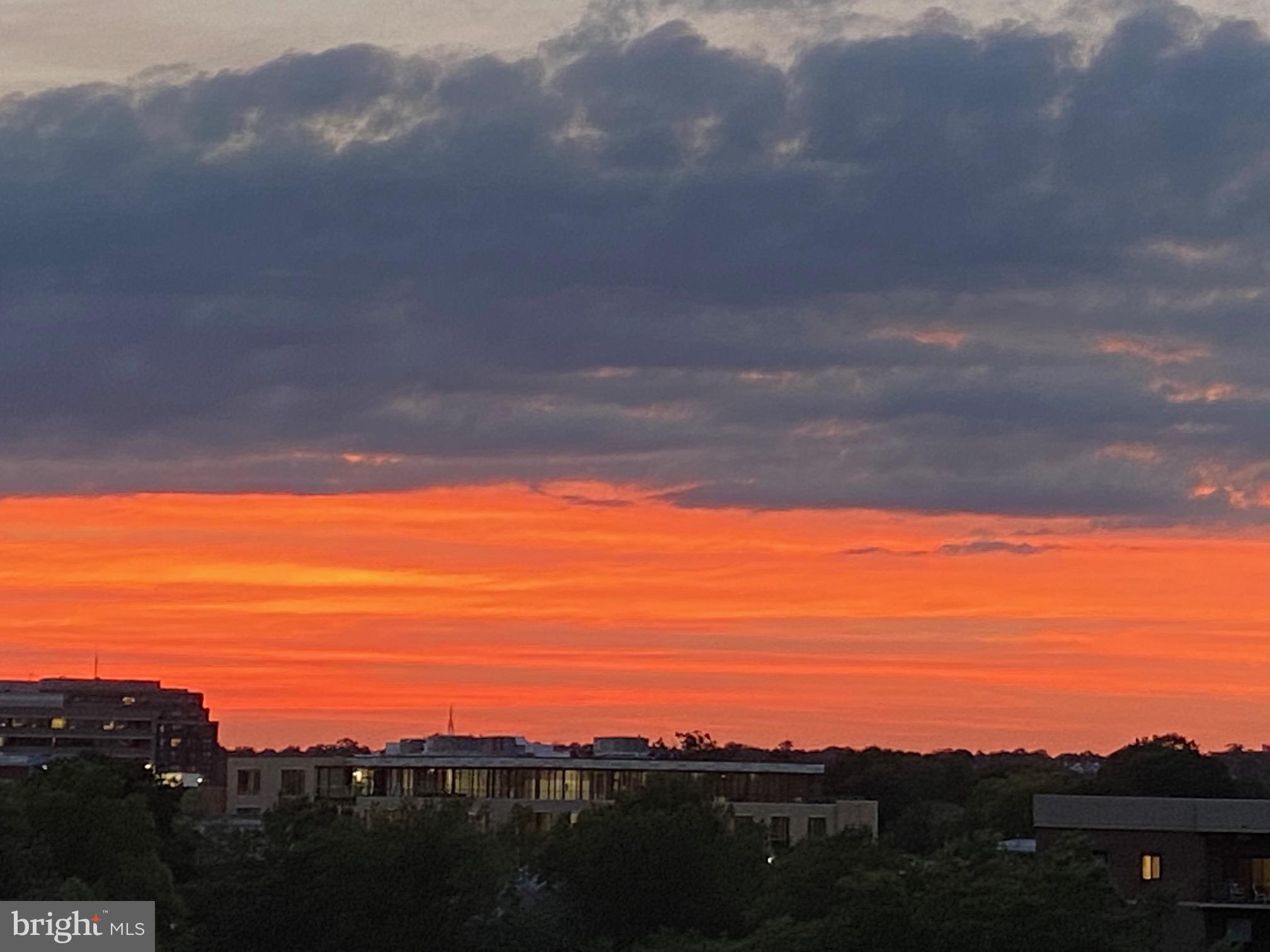 THE WILLIAMSBURG - Residential