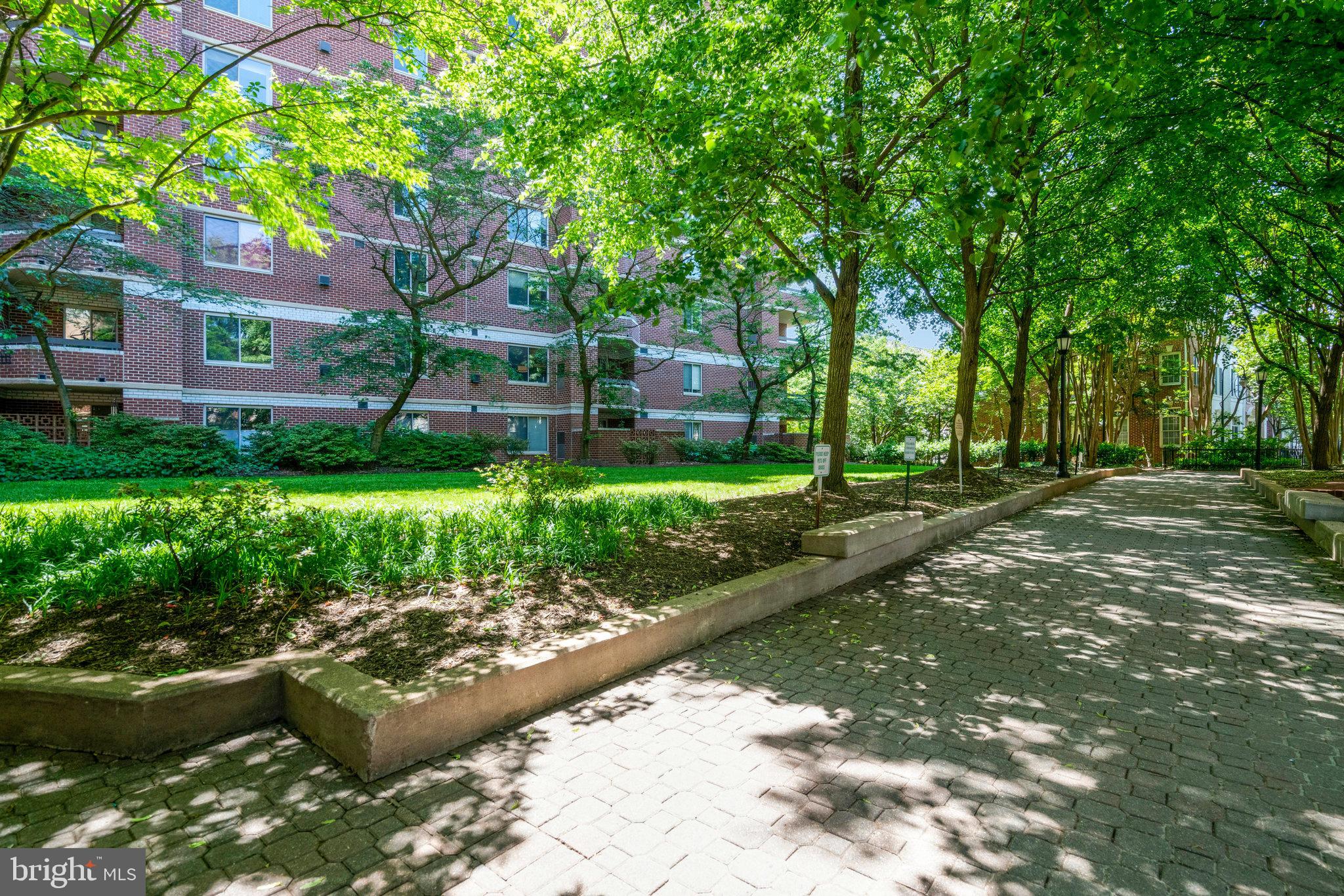 THE WILLIAMSBURG - Residential