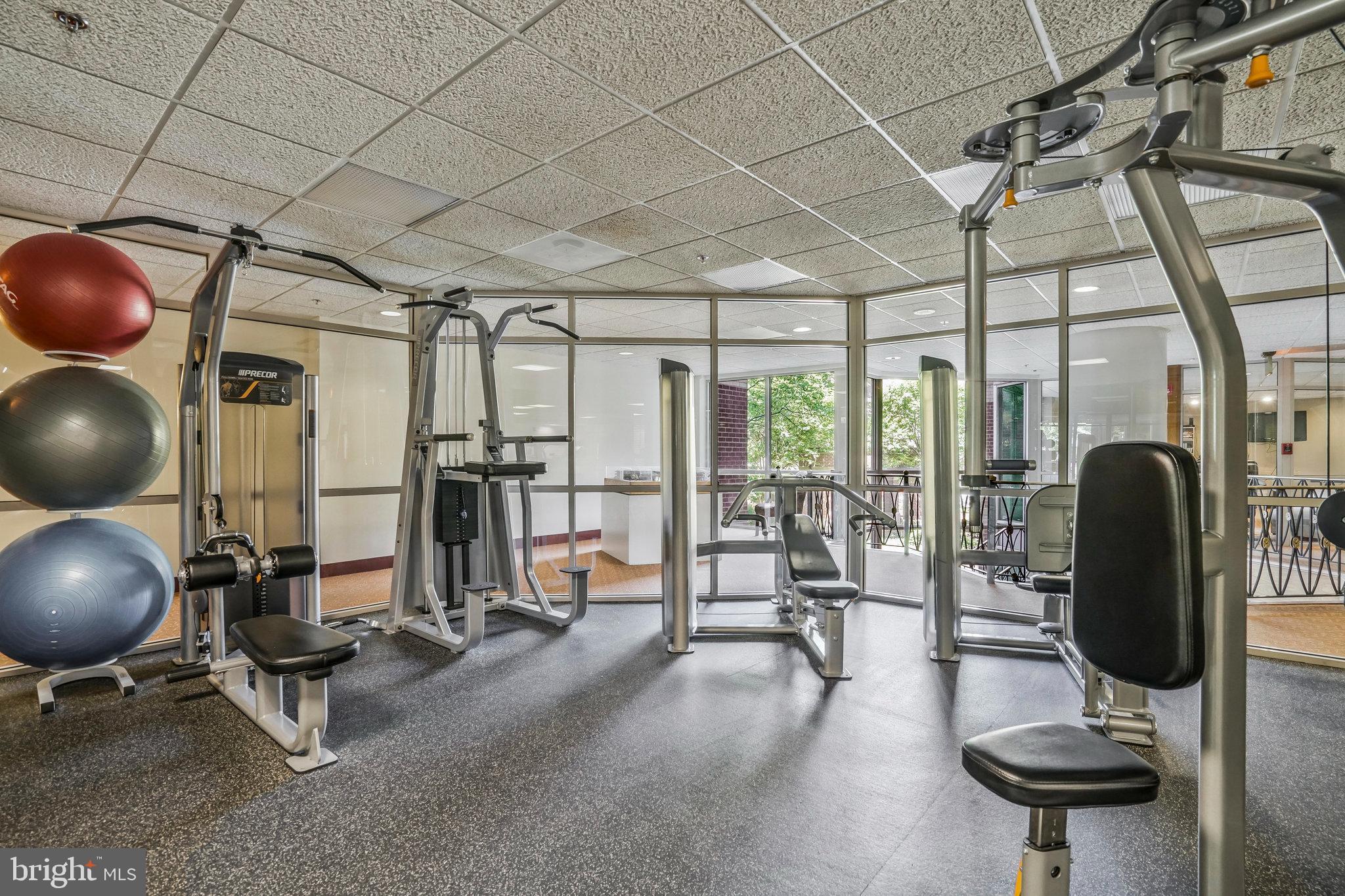 THE WILLIAMSBURG - Residential