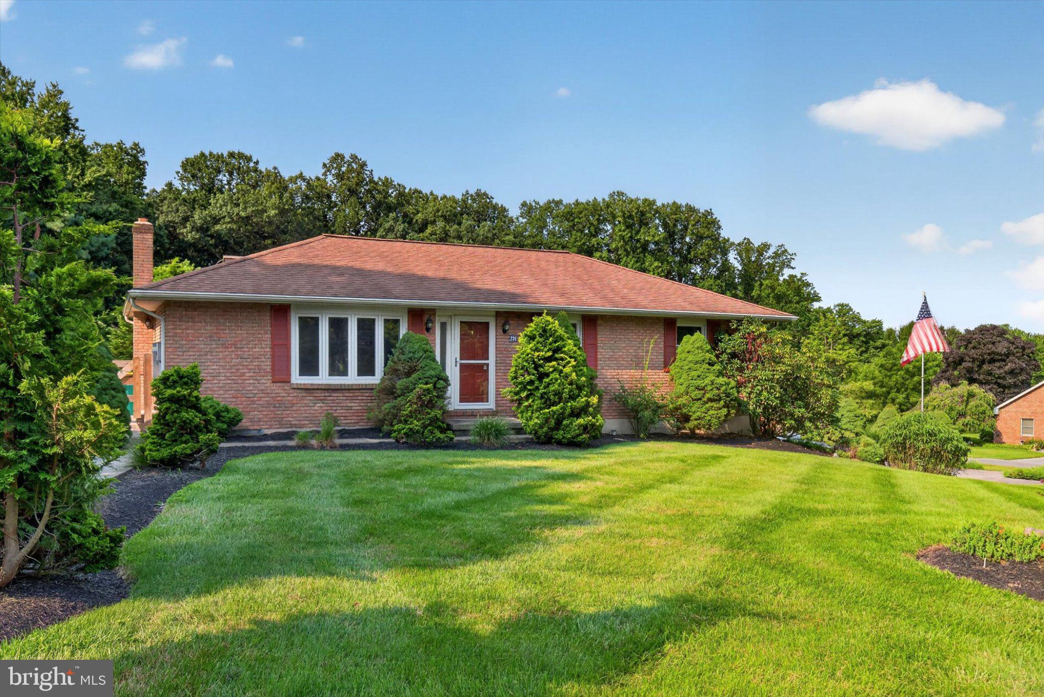 239 LAWN ROAD