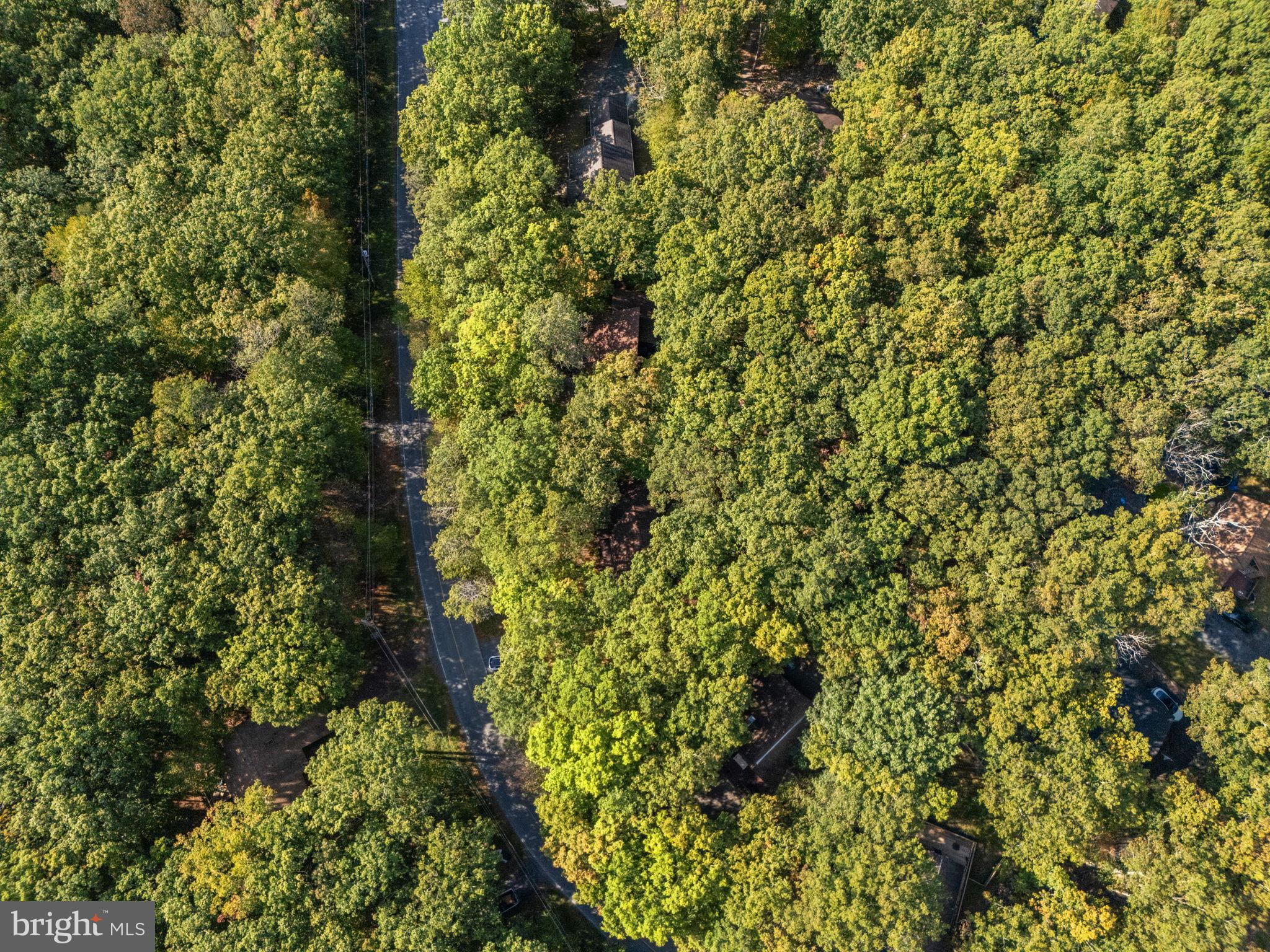 SAW CREEK EST - Residential