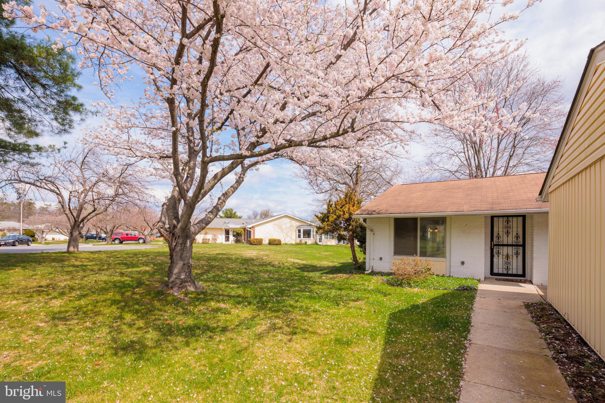 LEISURE WORLD - Residential