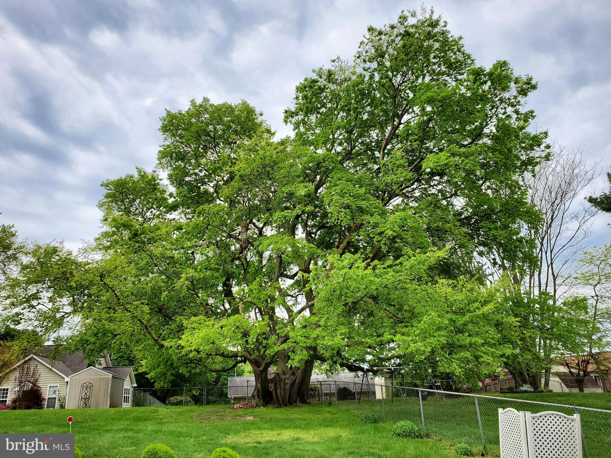 FARMINGTON HEIGHTS - Residential