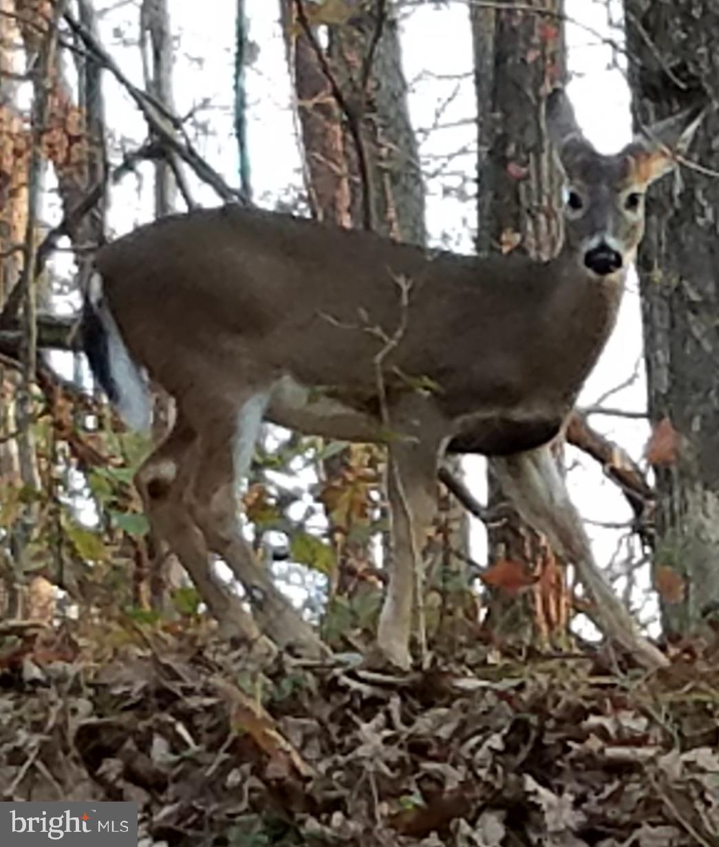 TRAILS END MTN ESTATES - Residential