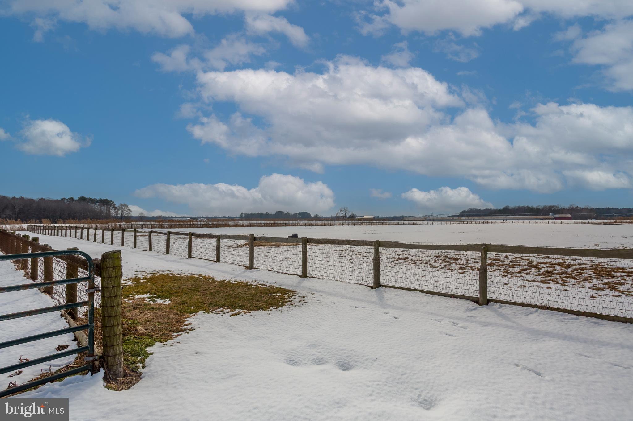 NONE AVAILABLE - Farm