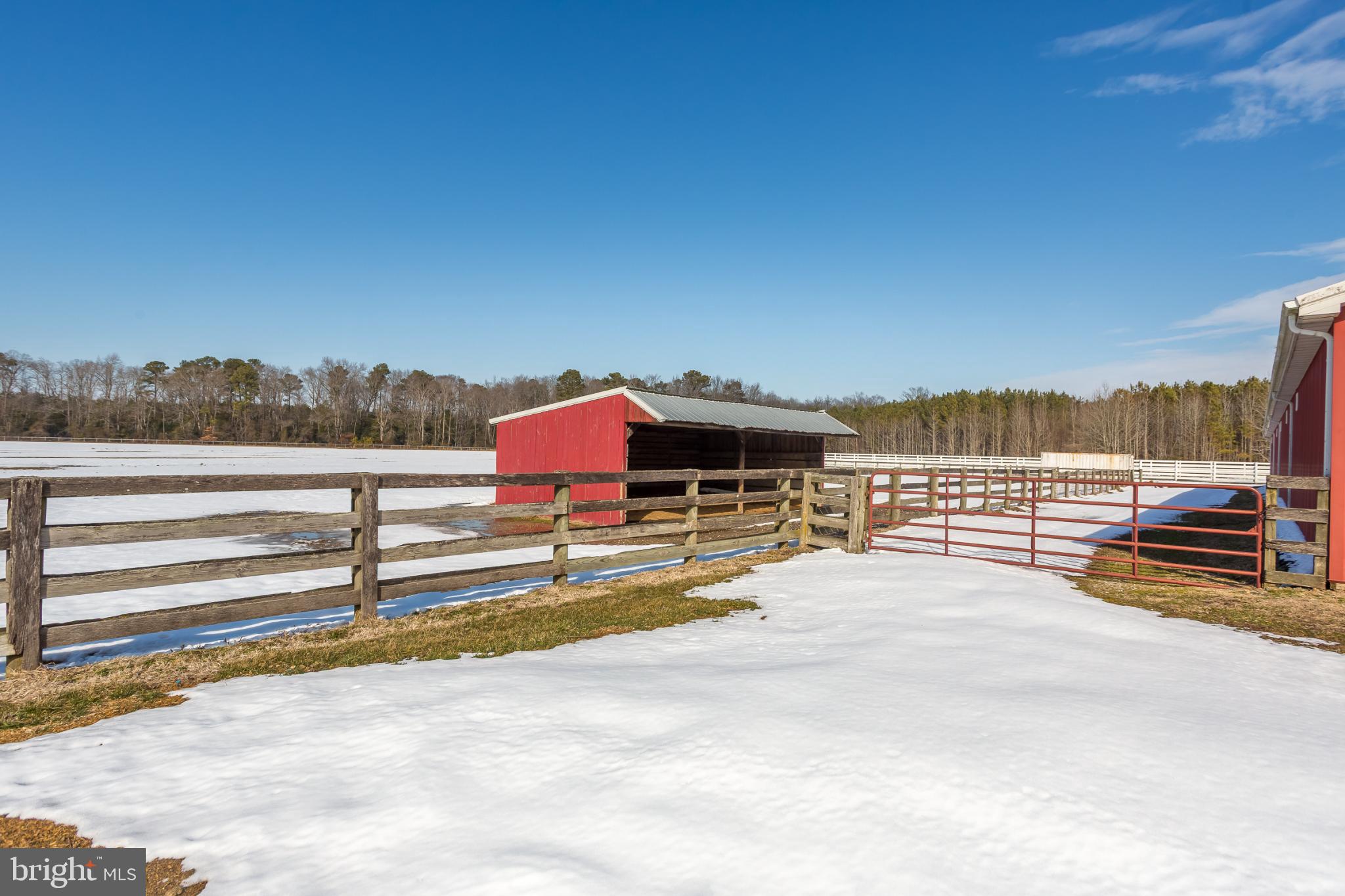 NONE AVAILABLE - Farm