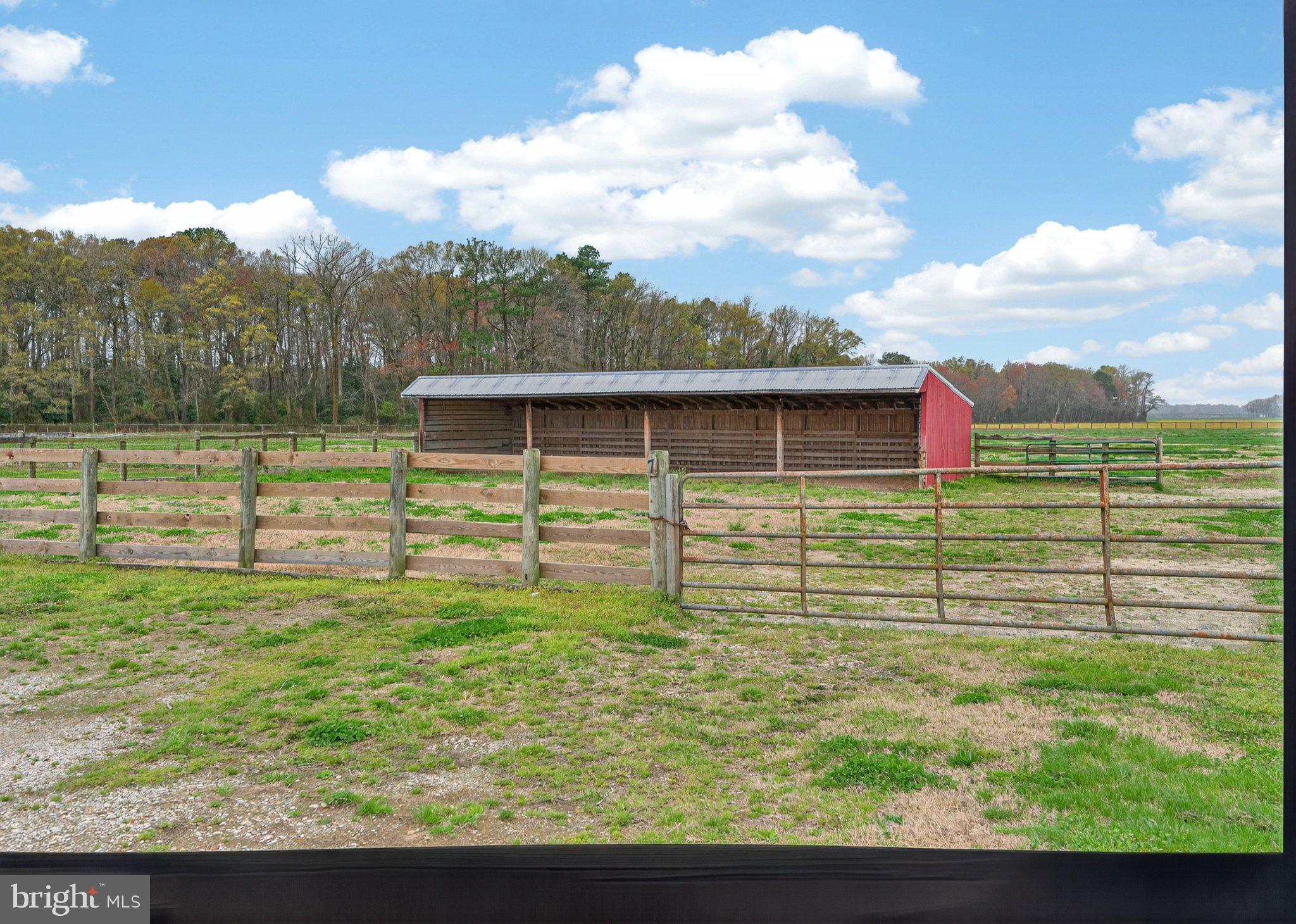 NONE AVAILABLE - Farm