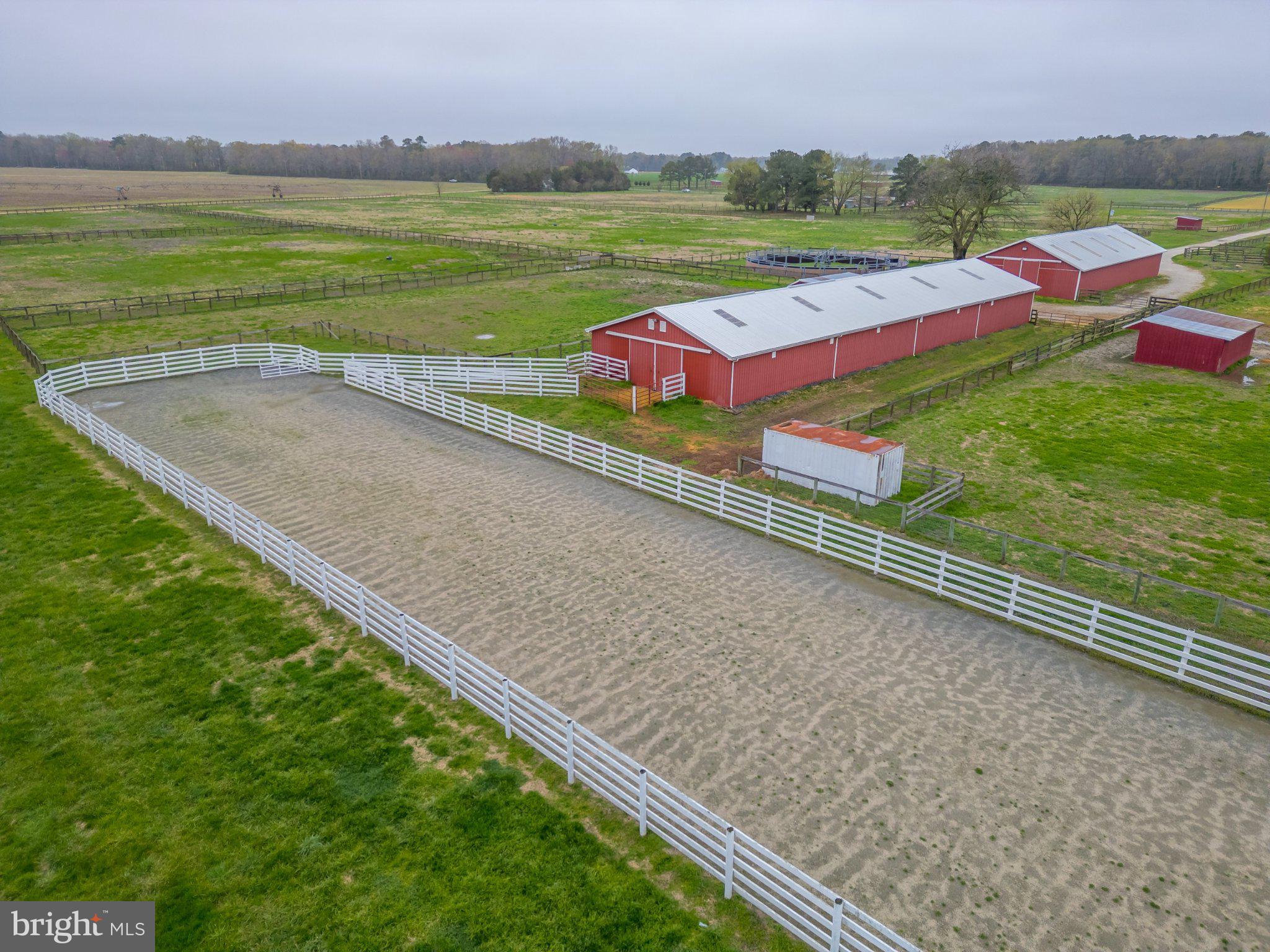 NONE AVAILABLE - Farm