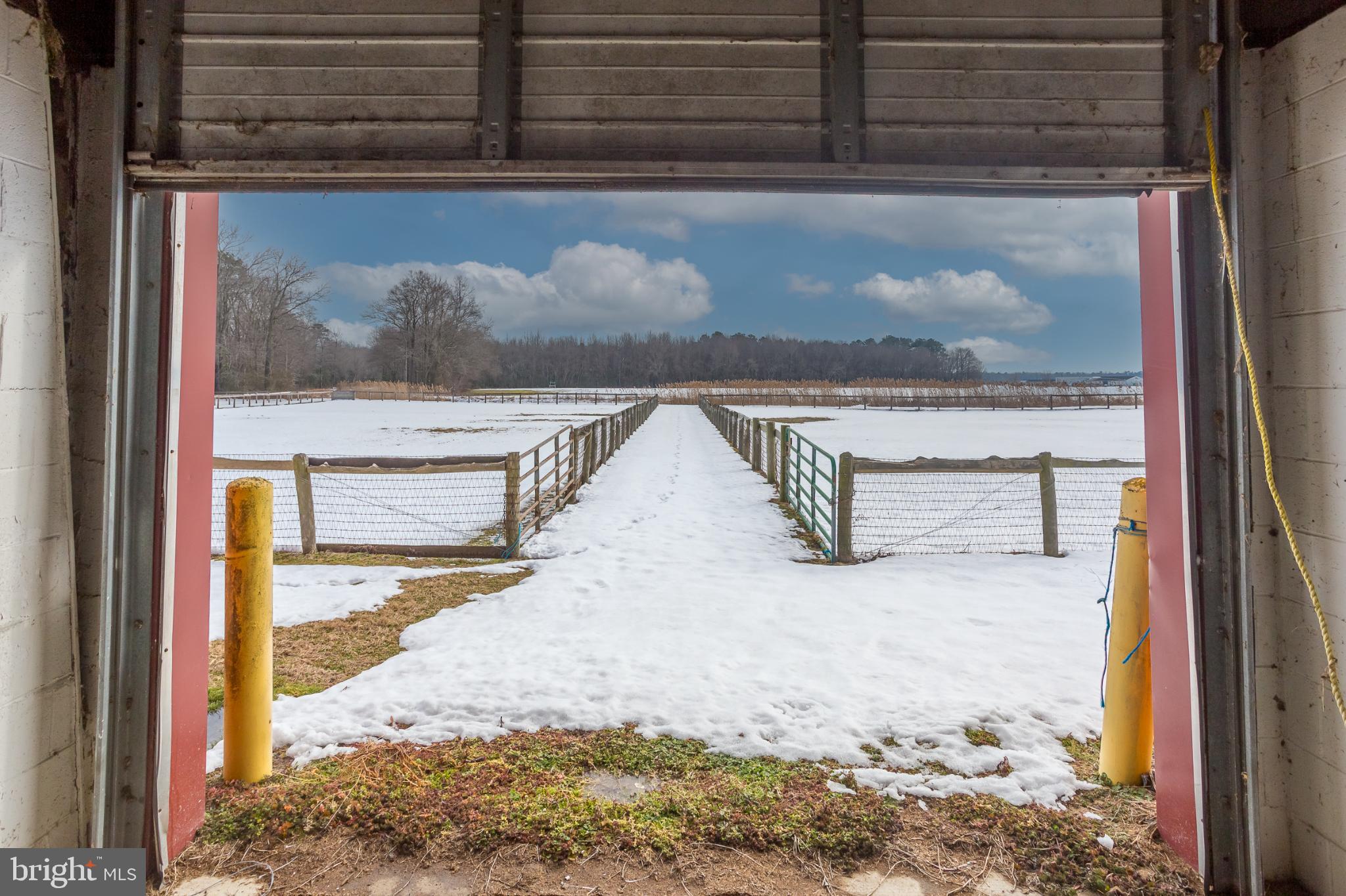 NONE AVAILABLE - Farm