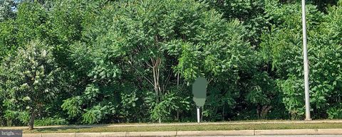Vacant Land For Sale - Briggs Chaney Road<br/> SILVER SPRING, MD 20905