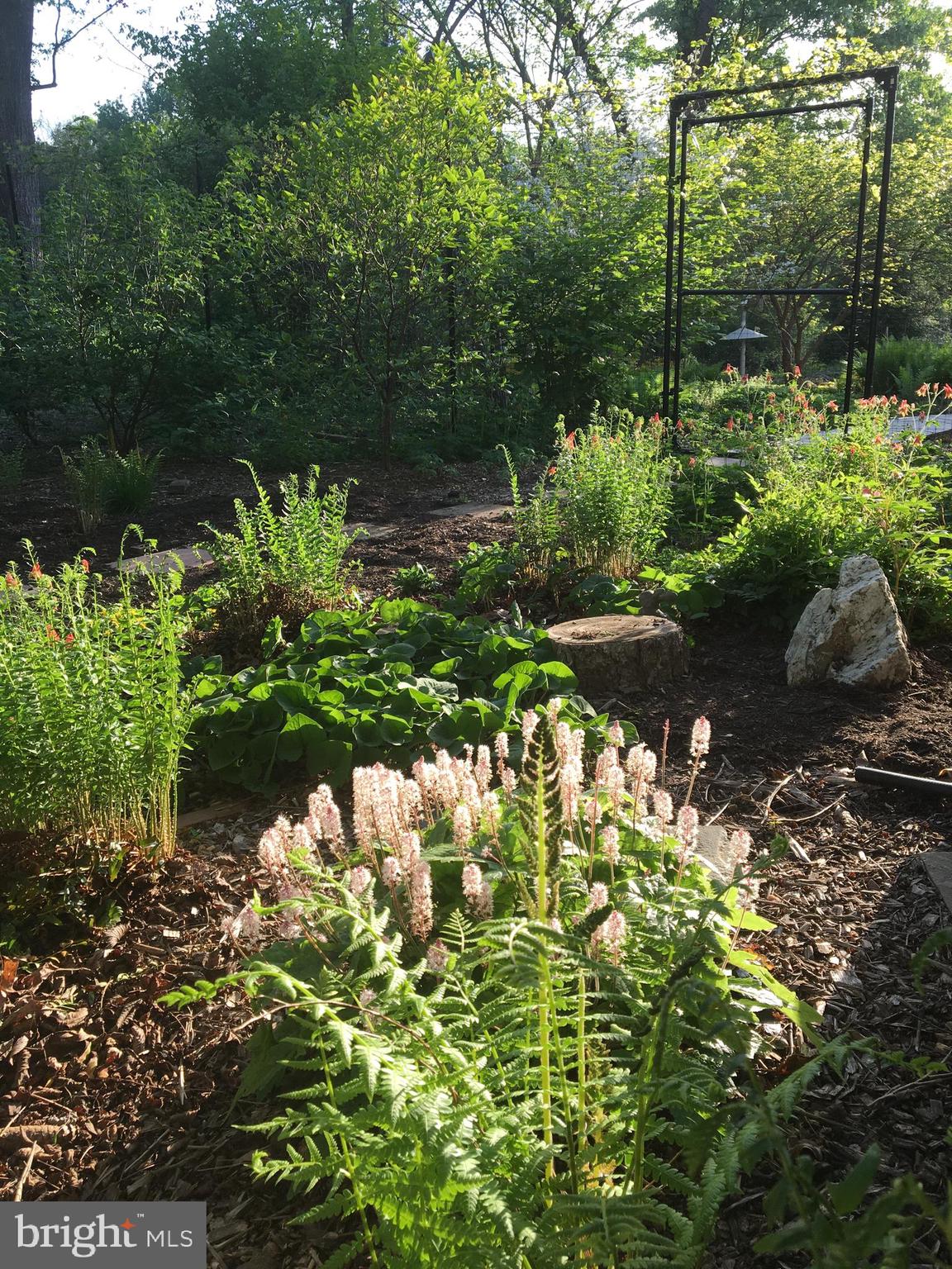 BARNESVILLE - Residential