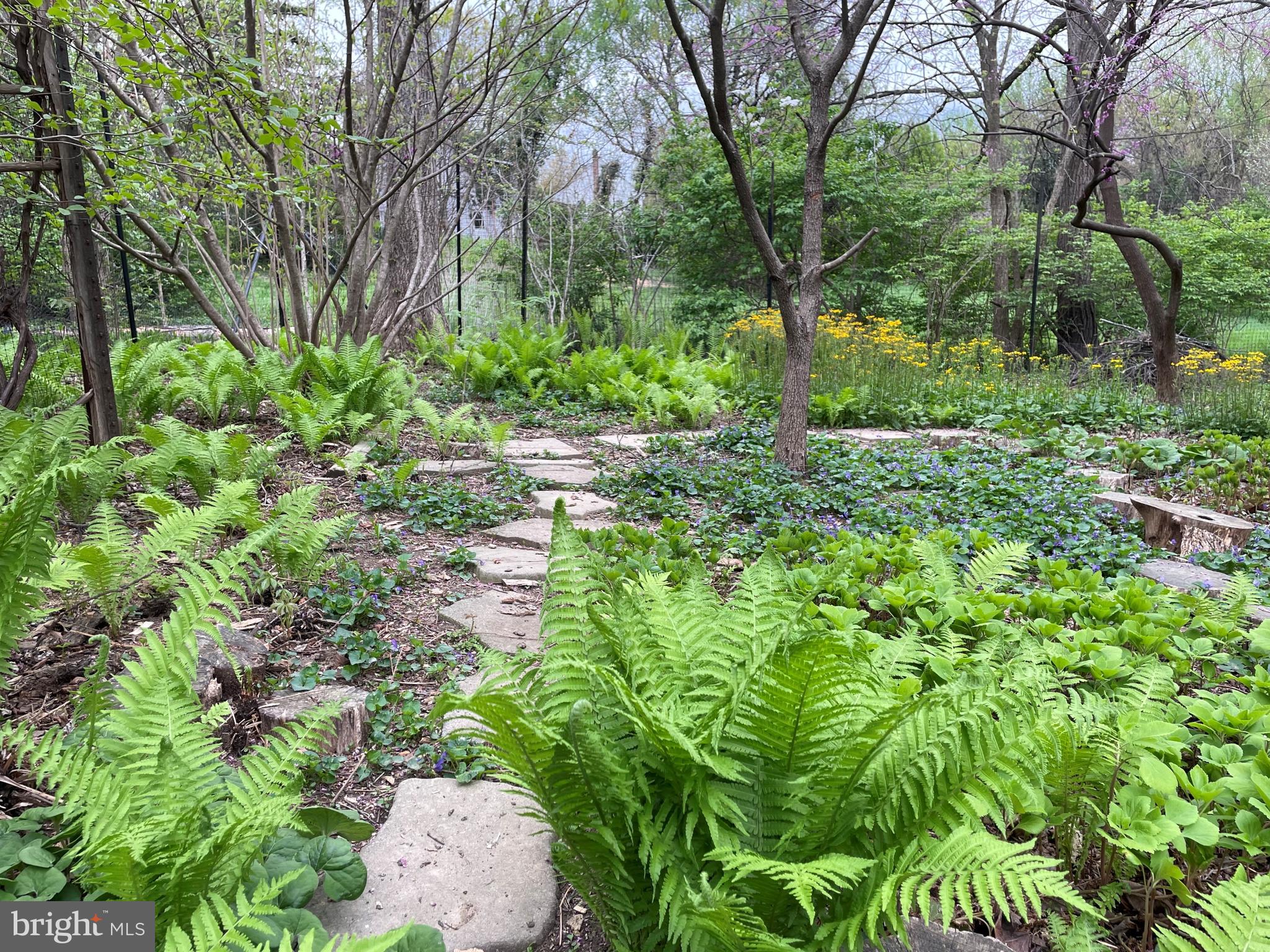 BARNESVILLE - Residential