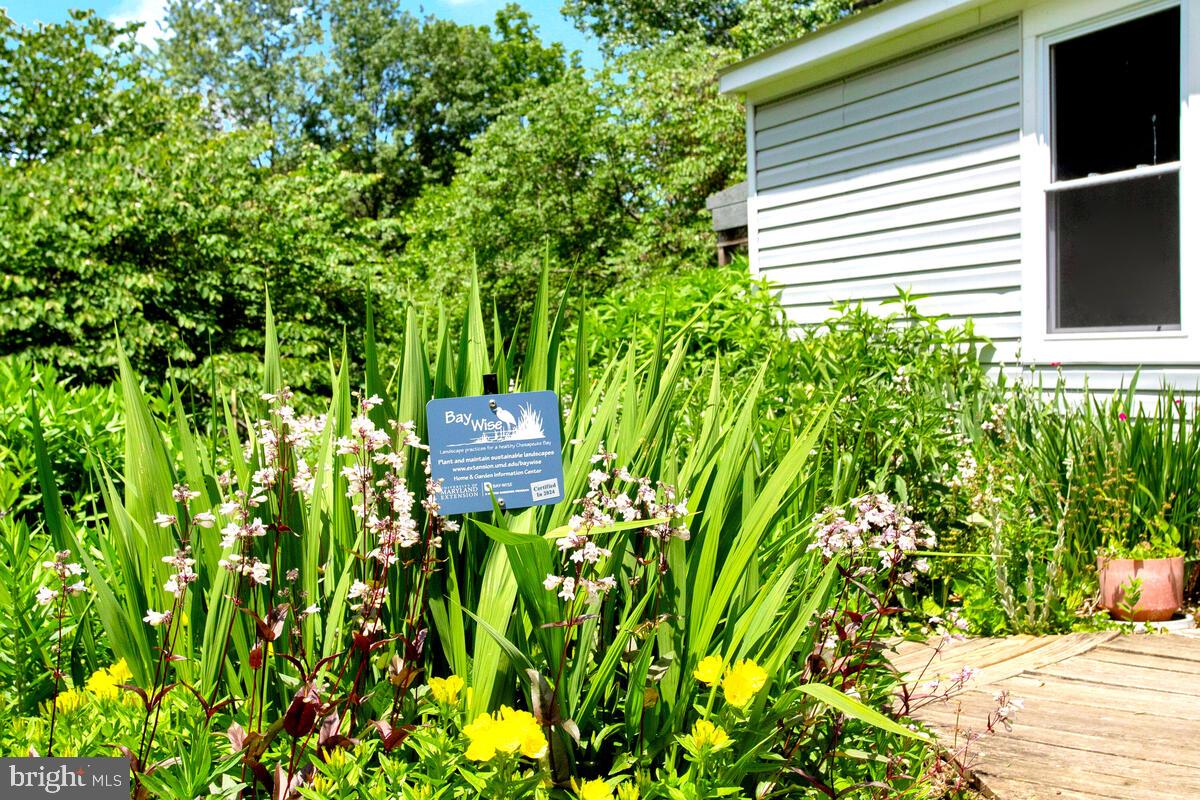 BARNESVILLE - Residential