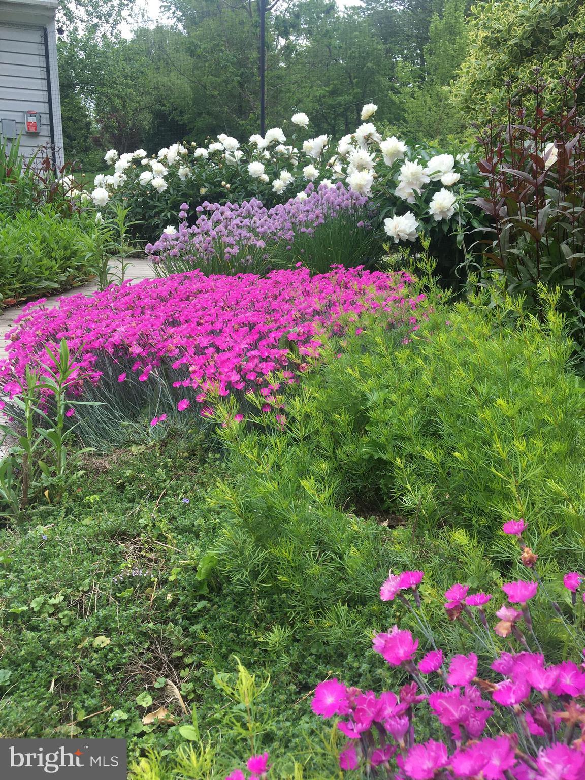 BARNESVILLE - Residential