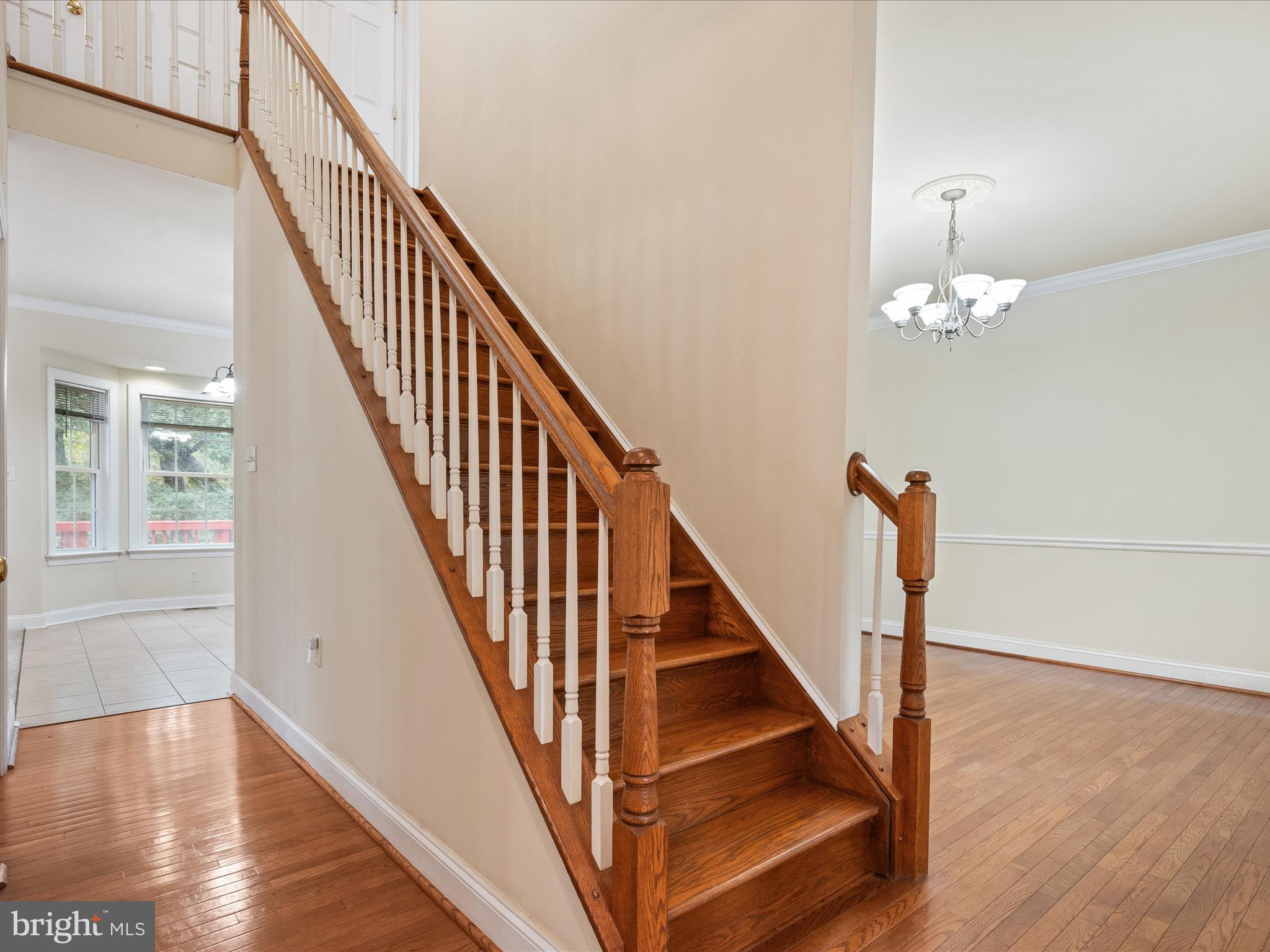 SHANNONDALE - Residential