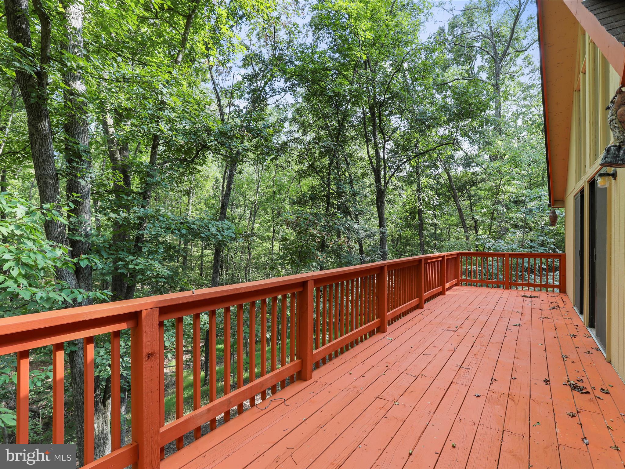 THE WOODS - Residential