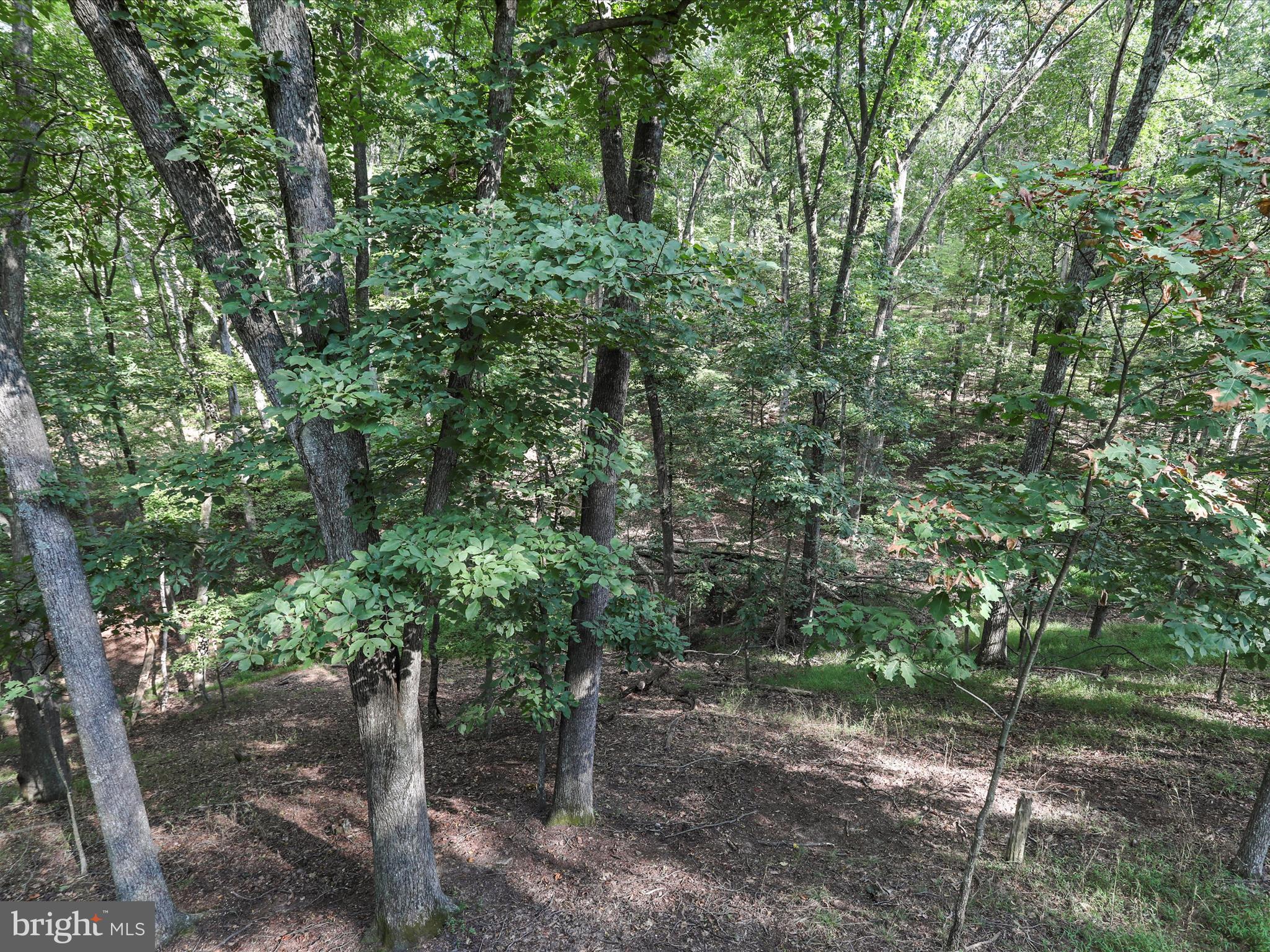 THE WOODS - Residential