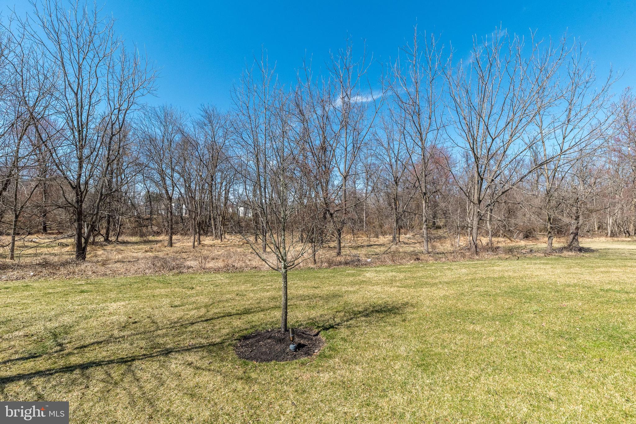 BRIDLE ESTATES - Residential