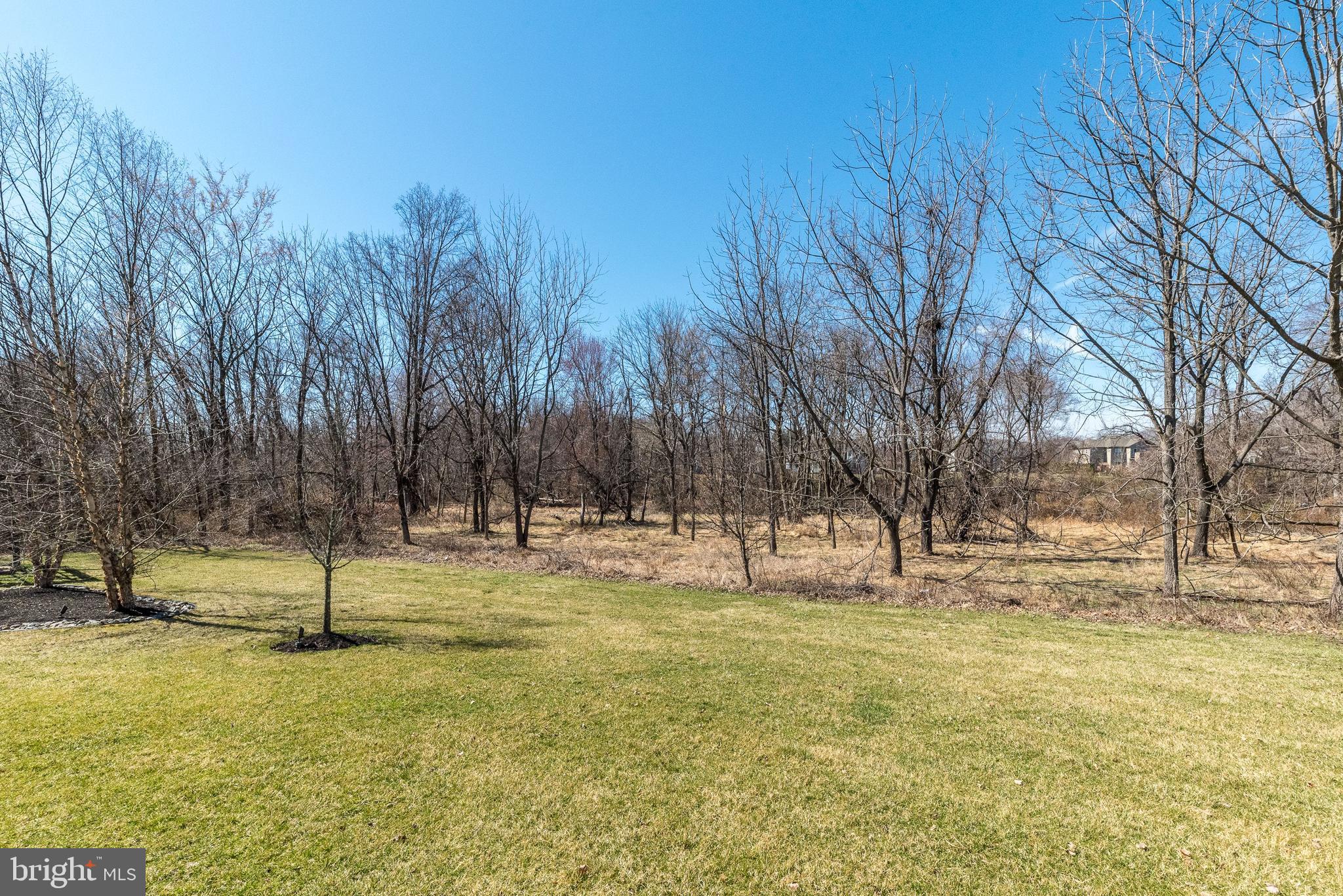 BRIDLE ESTATES - Residential