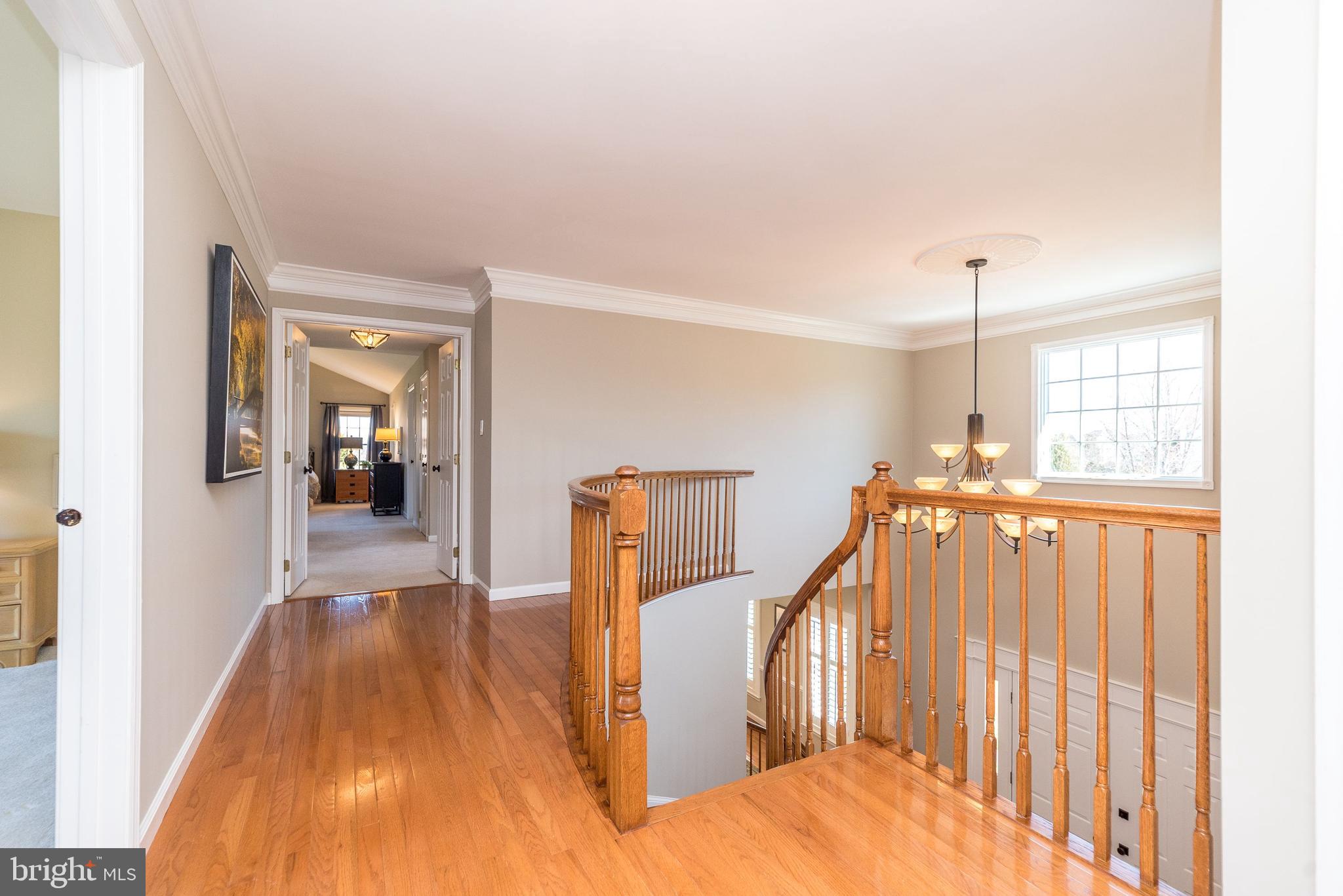 BRIDLE ESTATES - Residential