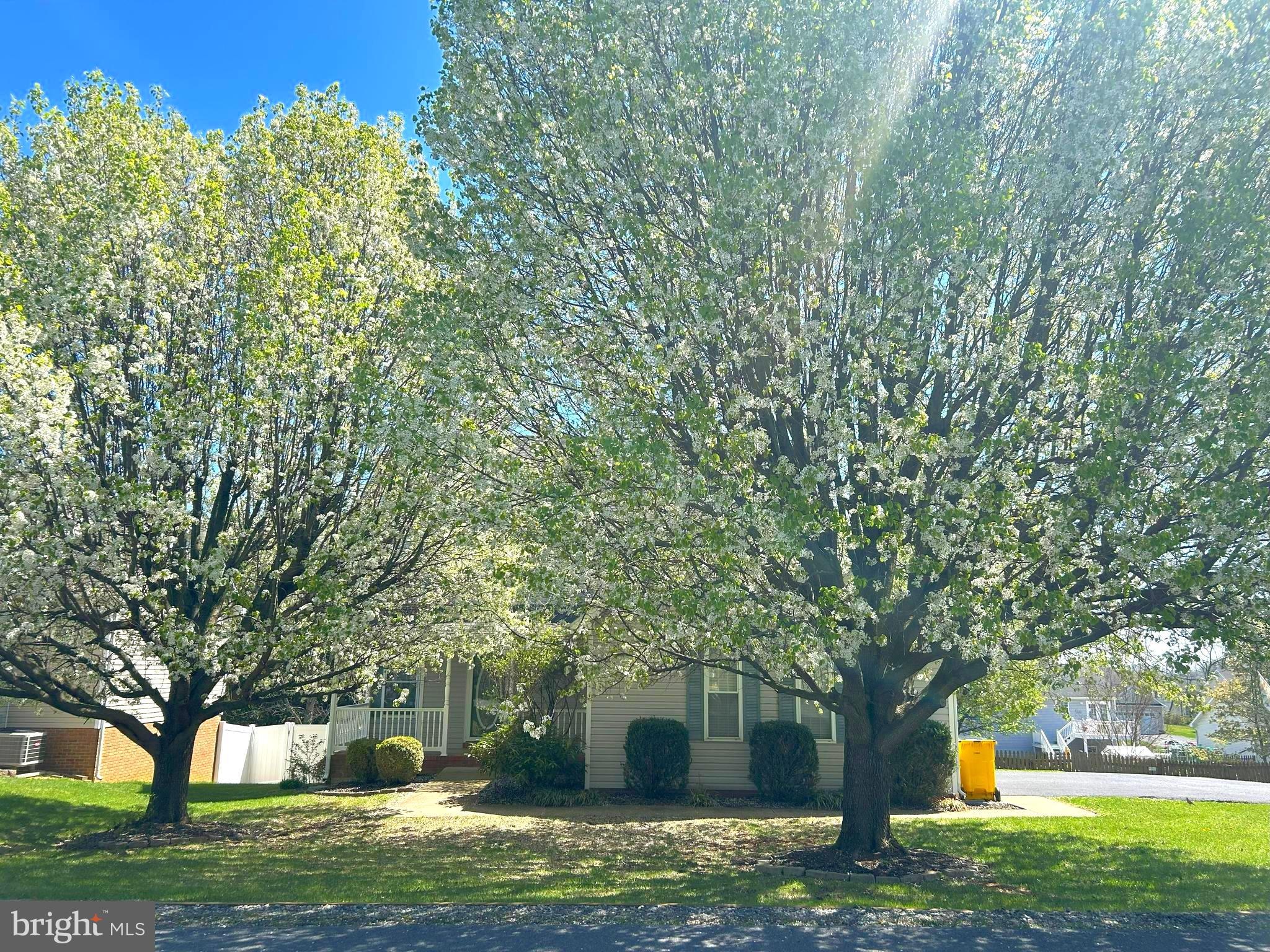 LAUREL RIDGE - Residential