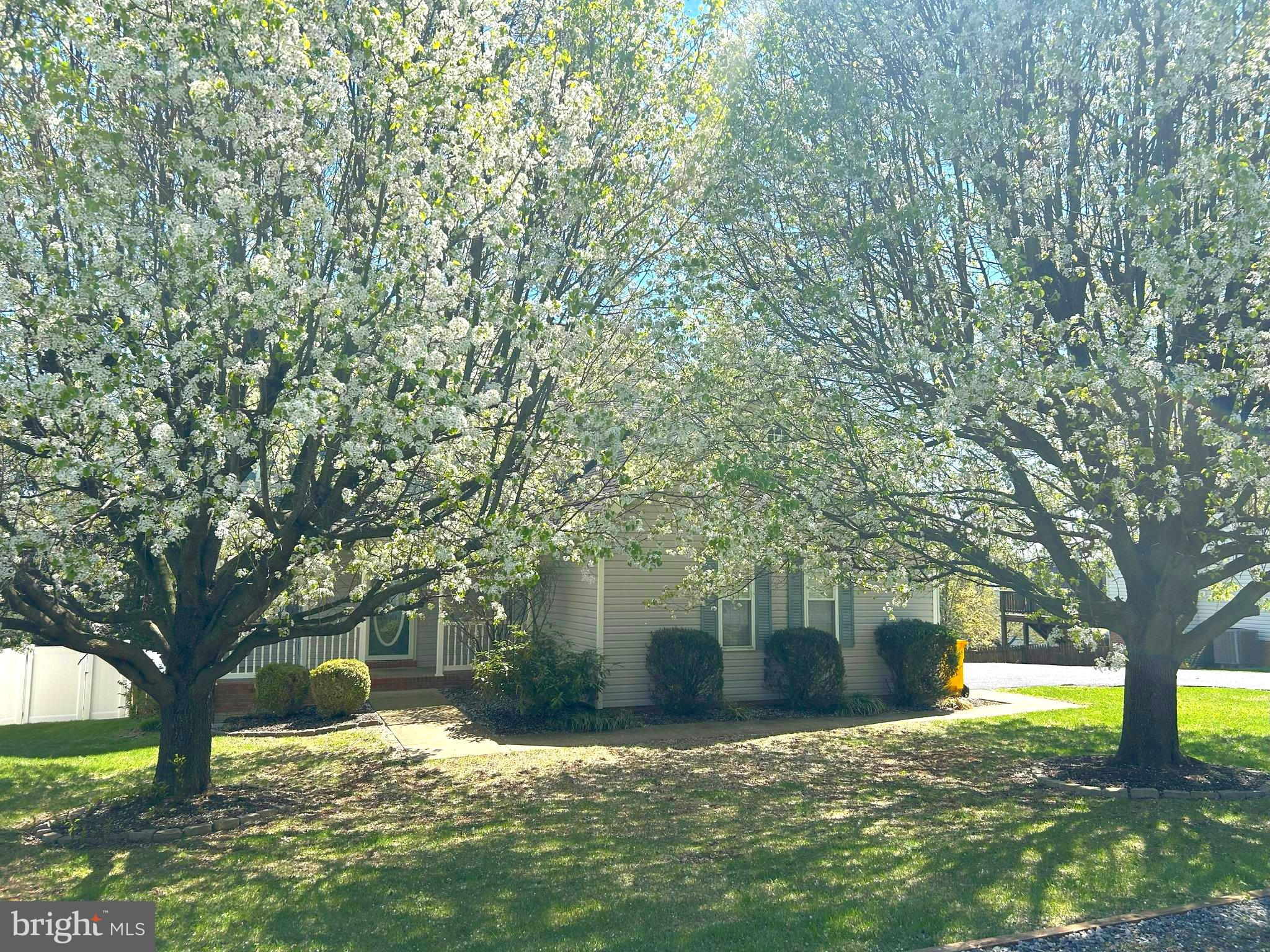 LAUREL RIDGE - Residential