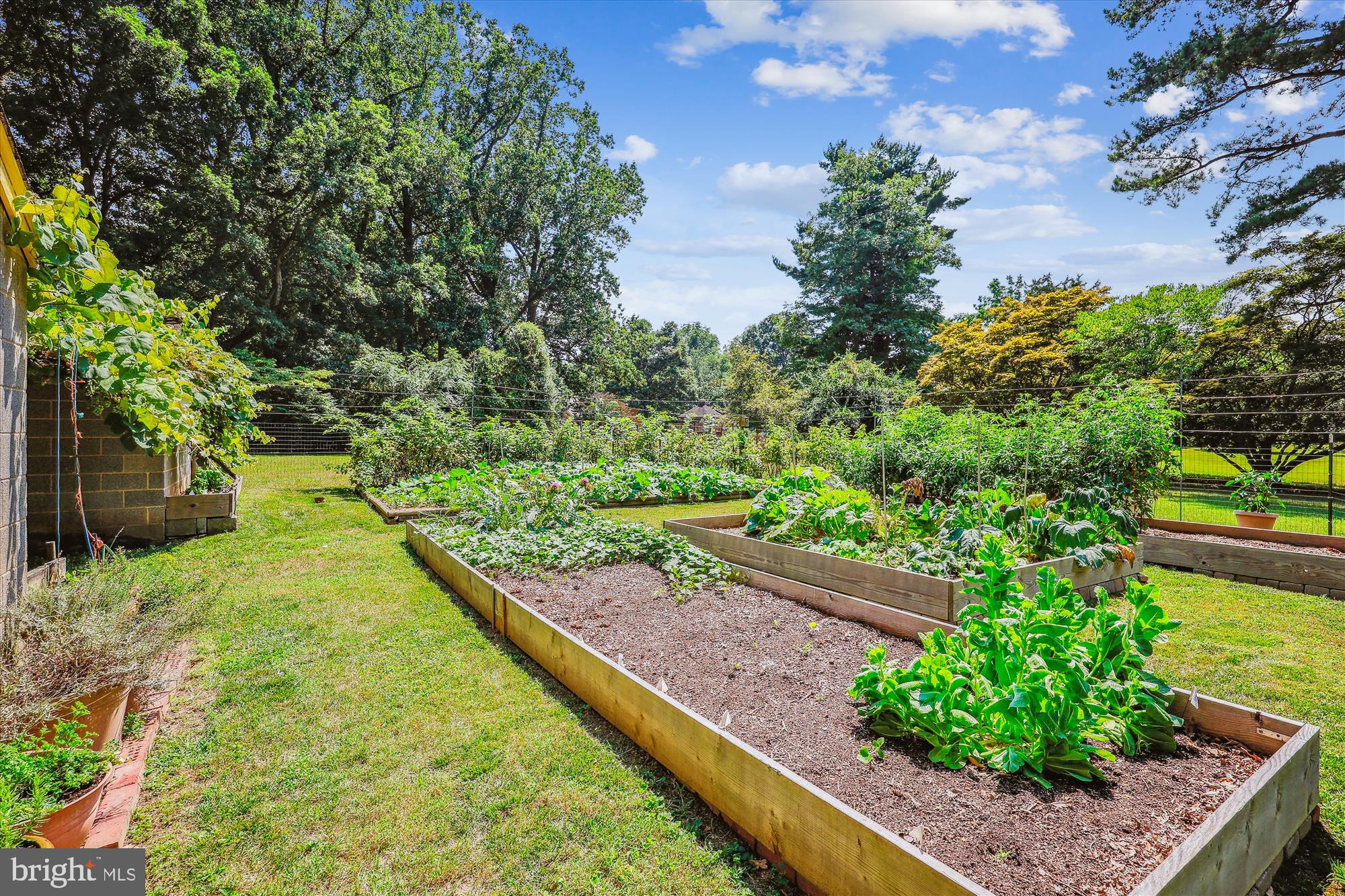 COLESVILLE FARM ESTATES - Residential