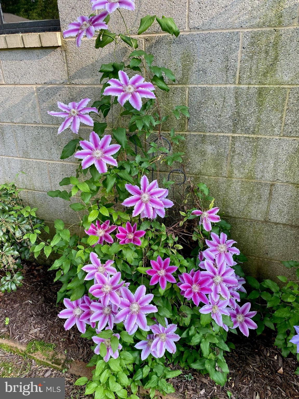 COLESVILLE FARM ESTATES - Residential