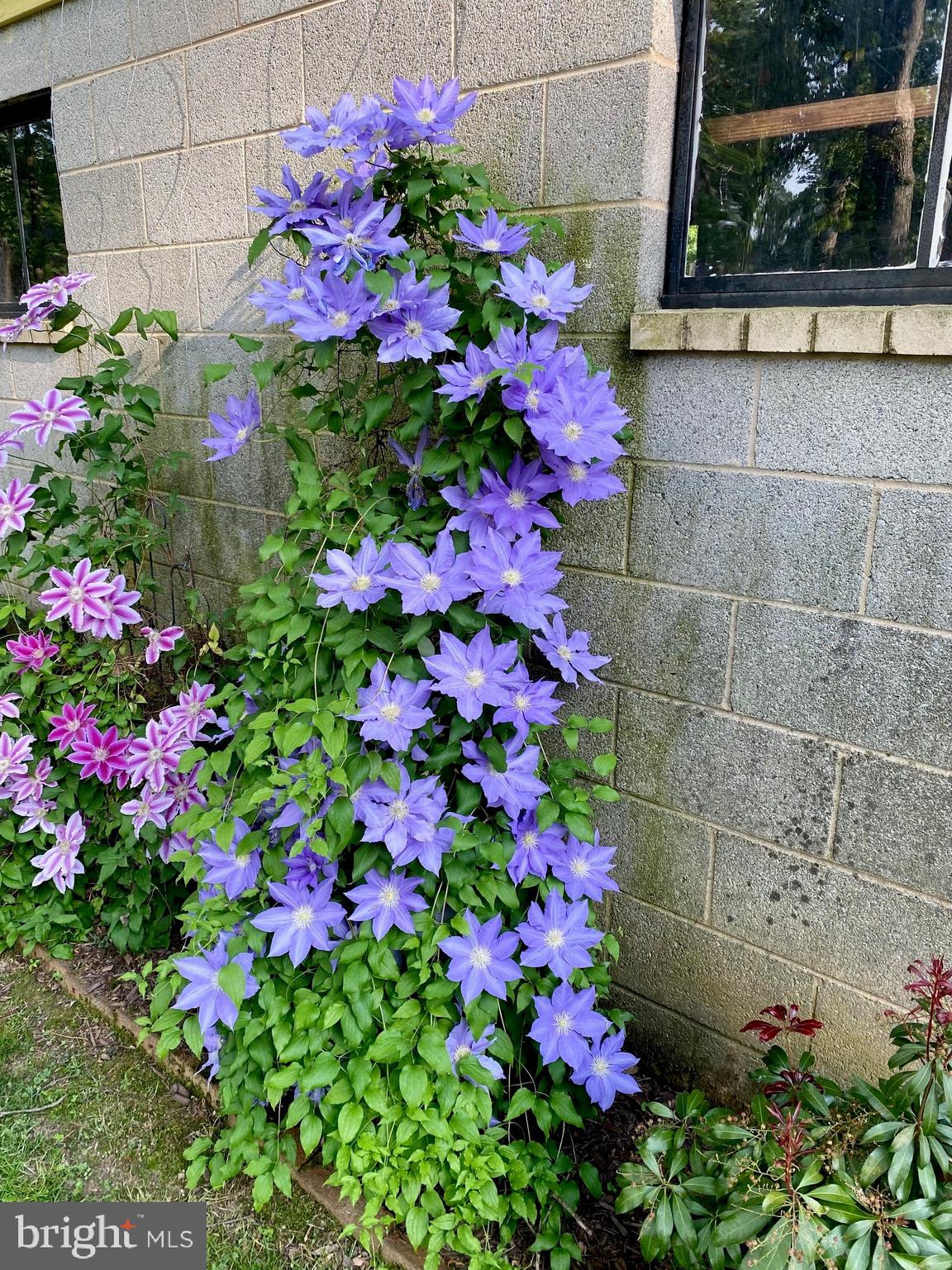 COLESVILLE FARM ESTATES - Residential